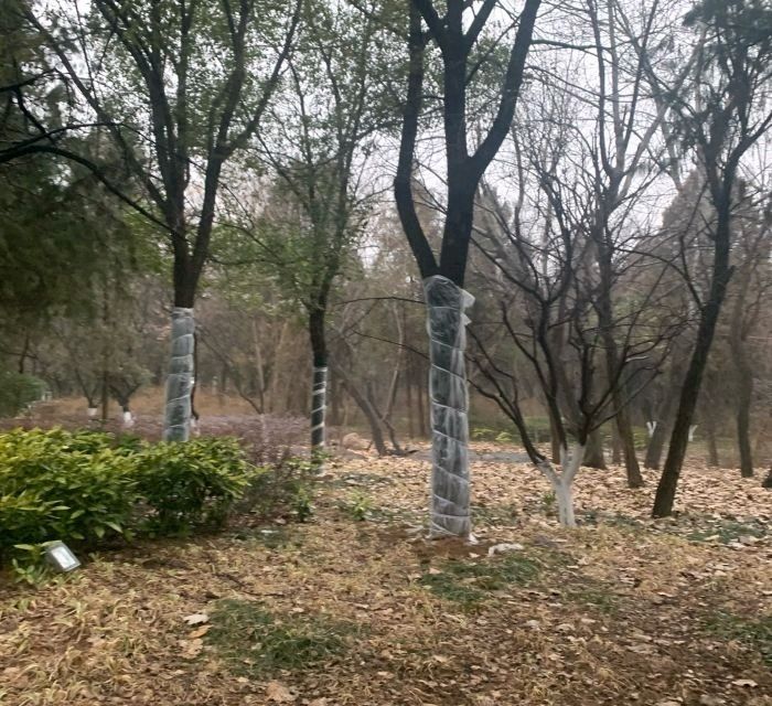 无名山公园旅行图片 3