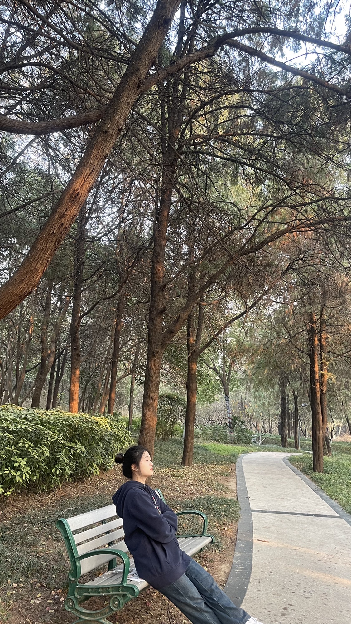 无名山公园旅行图片 3