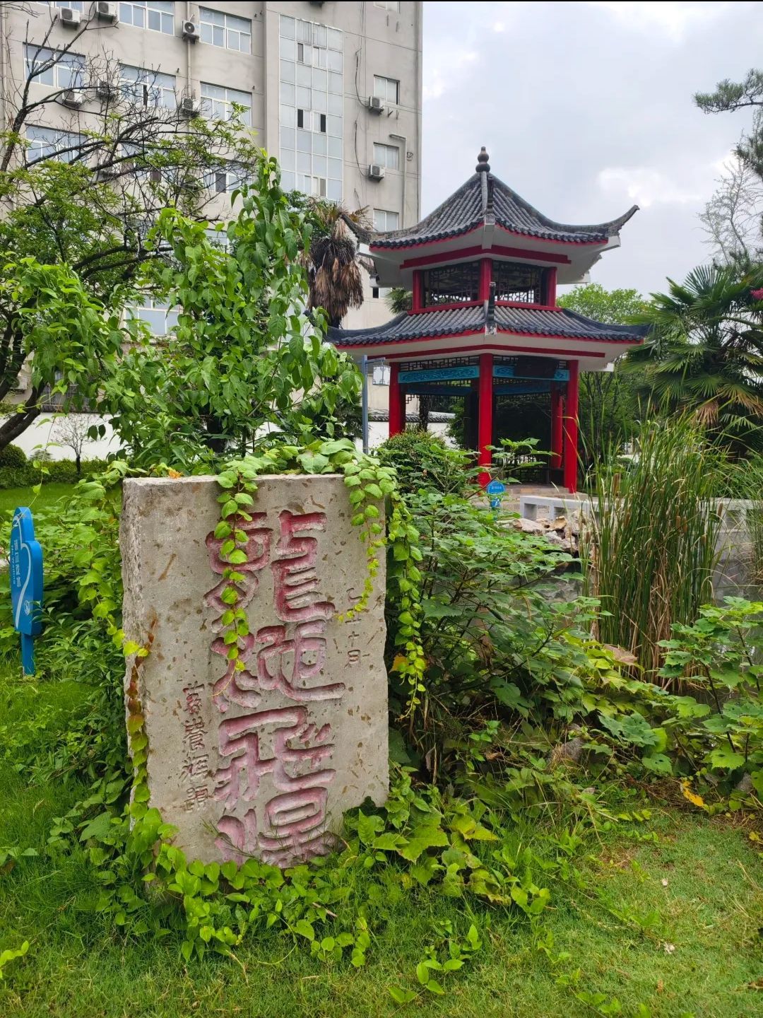 泗水亭公园旅行图片 2