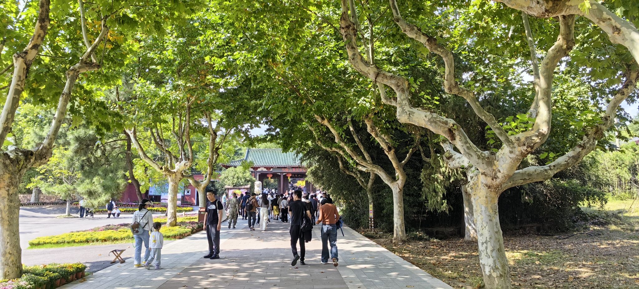 马陵山风景名胜区旅行图片 1