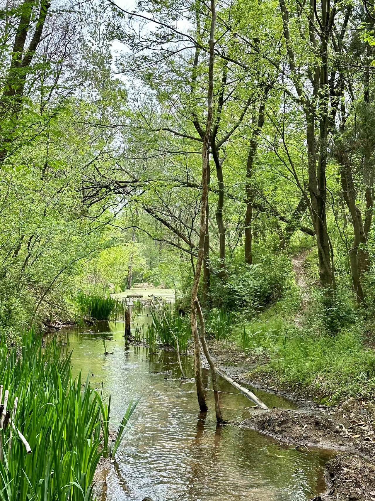 马陵山风景名胜区旅行图片 3