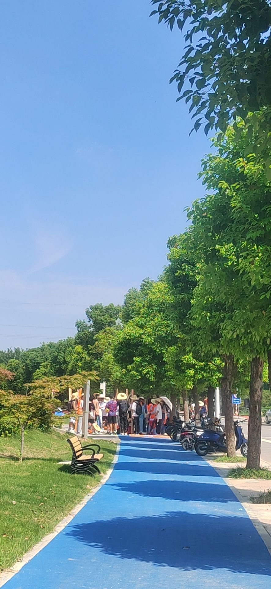 九龙湖公园旅行图片 1