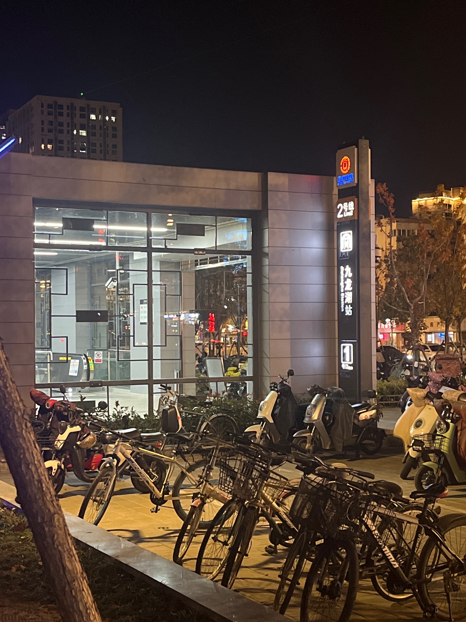 九龙湖公园旅行图片 1
