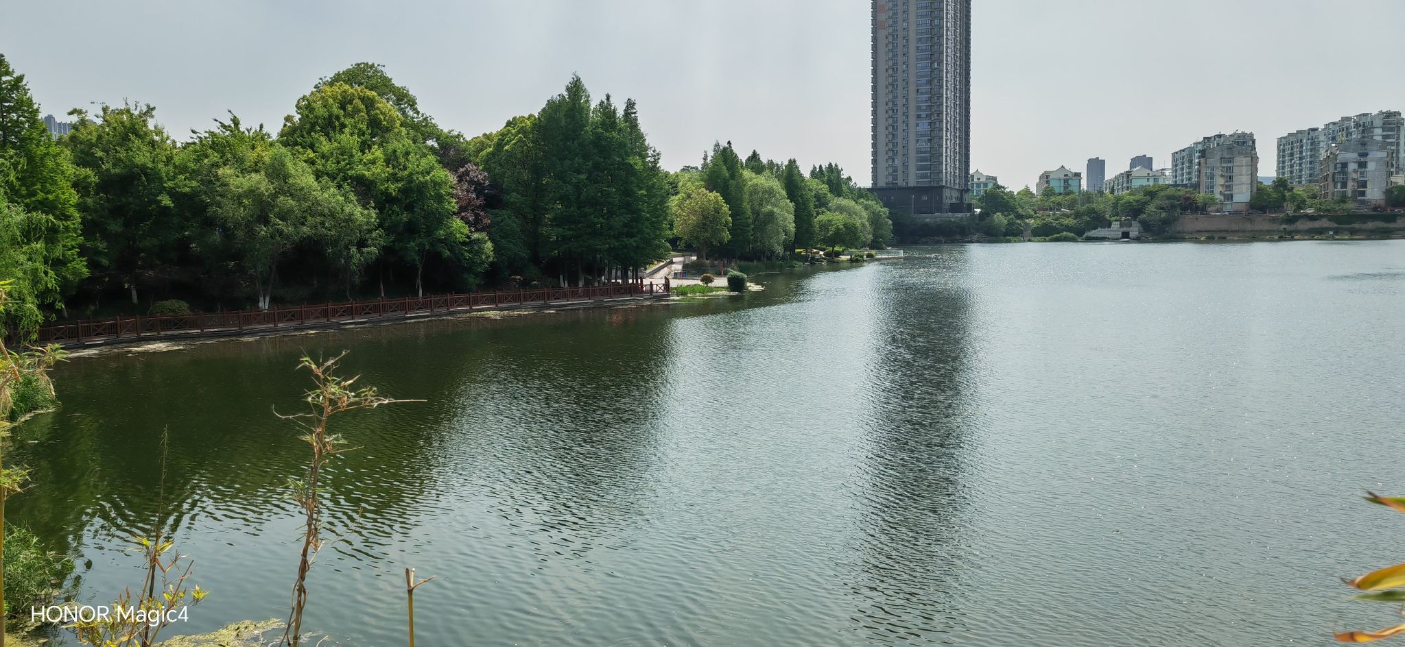 九龙湖公园旅行图片 3