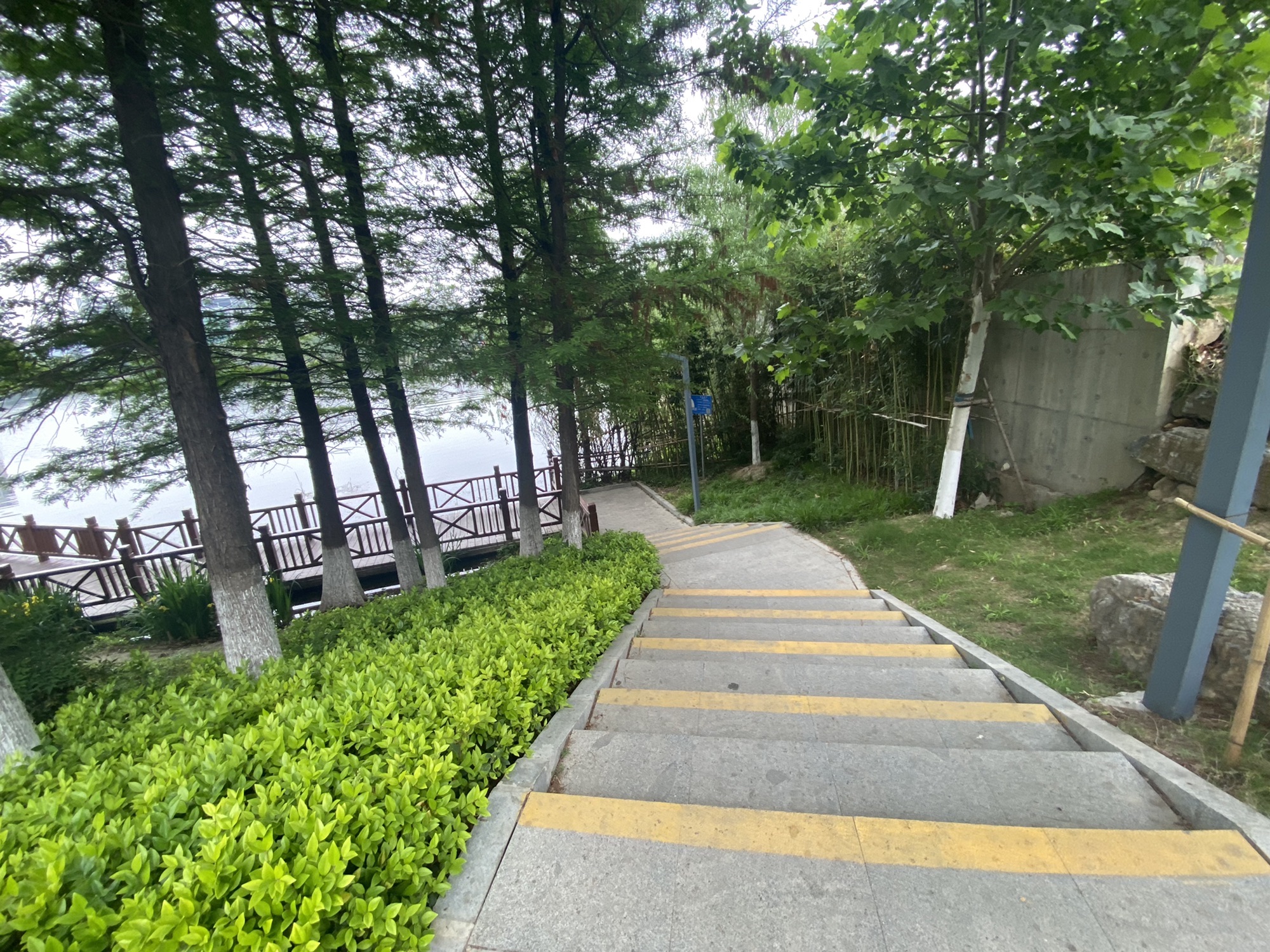 九龙湖公园旅行图片 3
