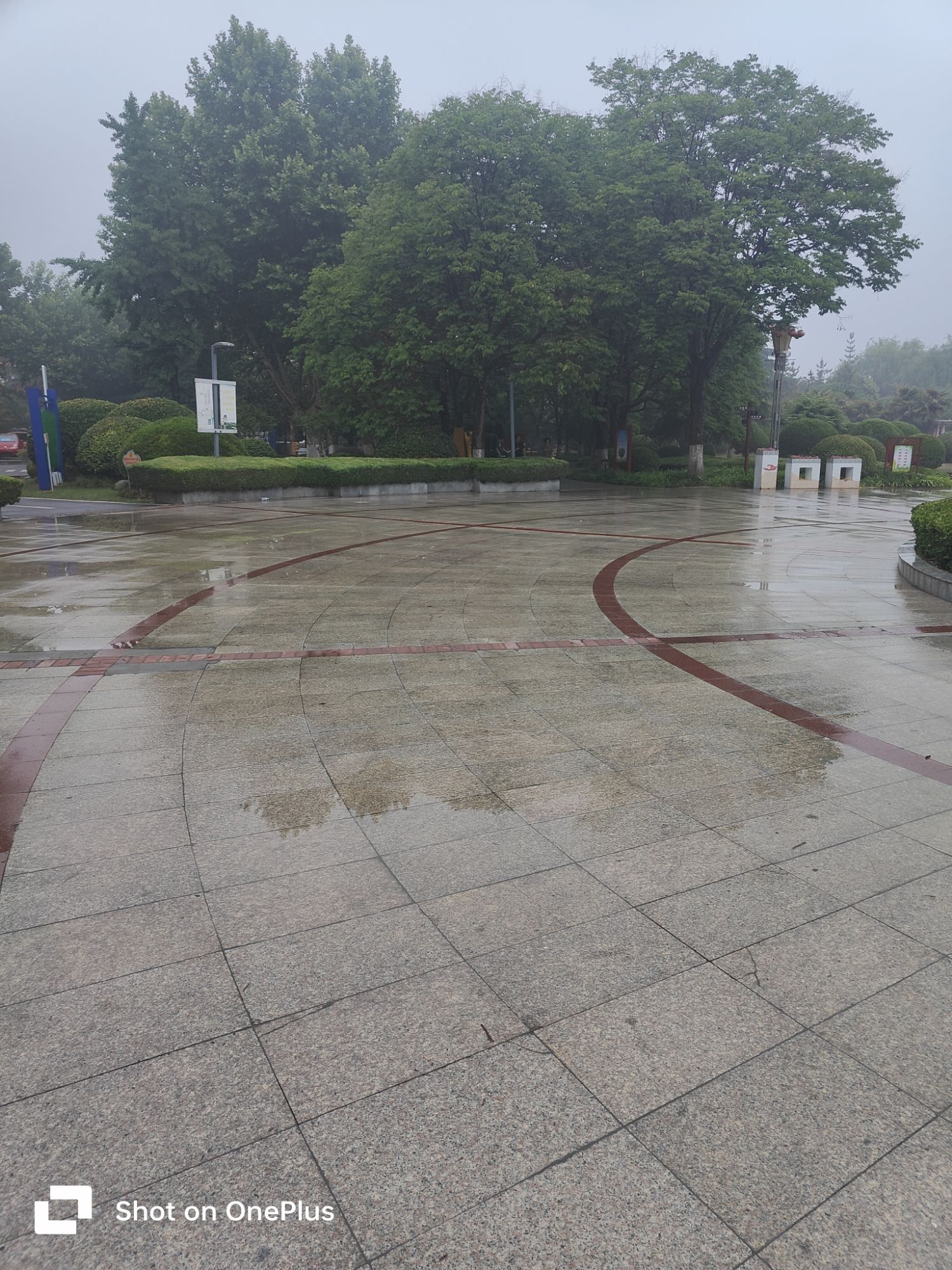 颐园旅行图片 3