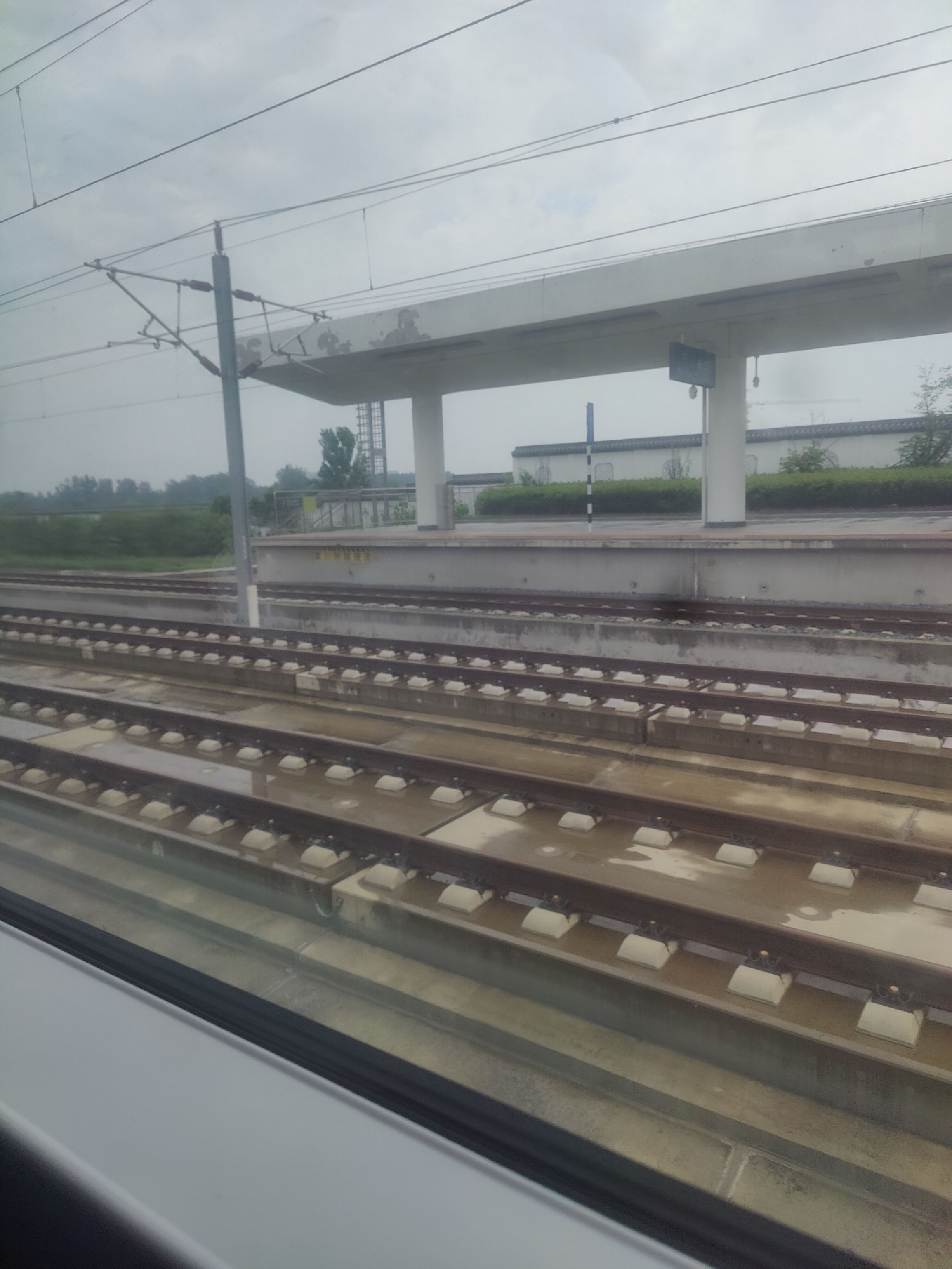 九凤园旅行图片 1