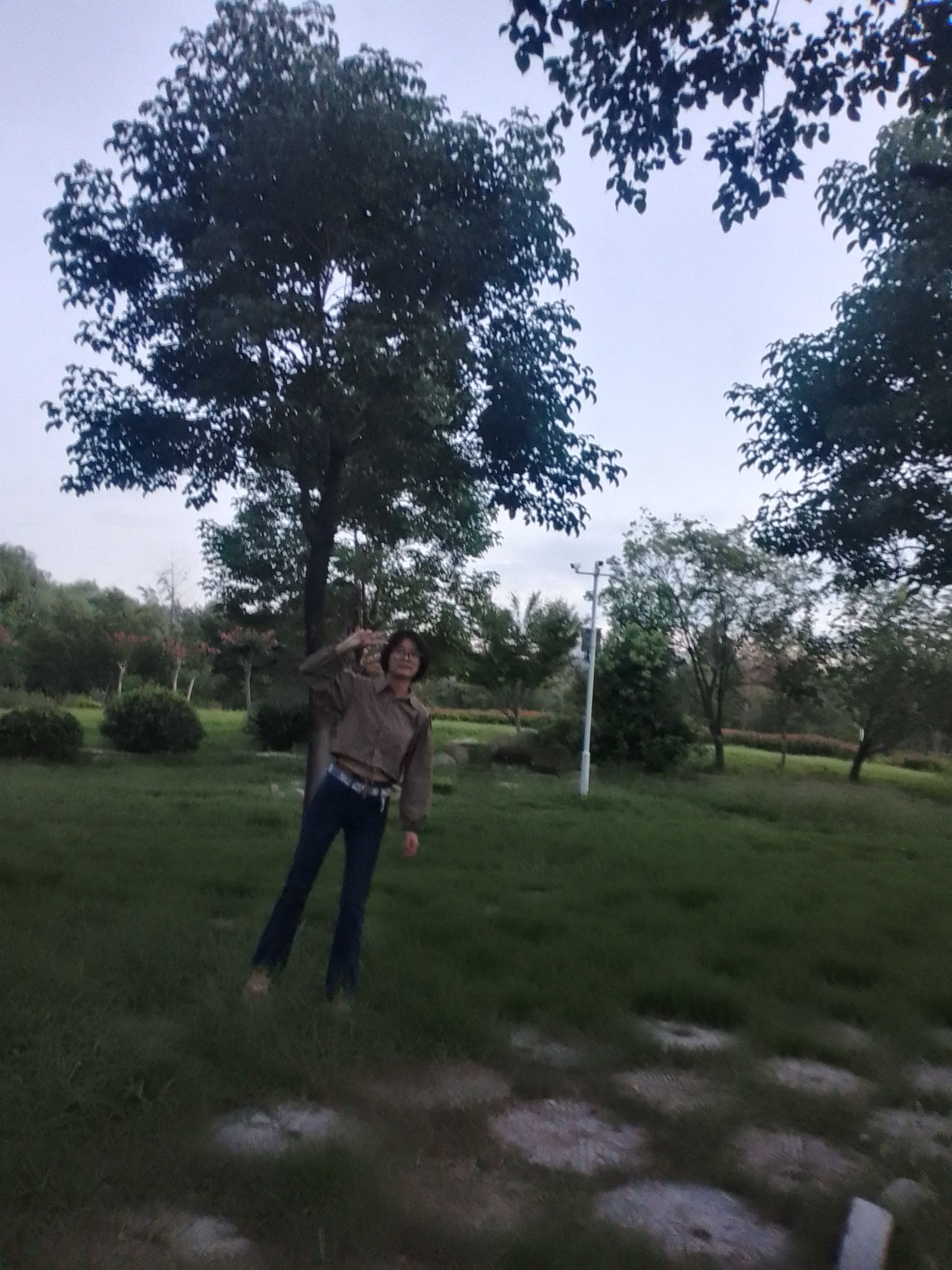 九凤园旅行图片 3