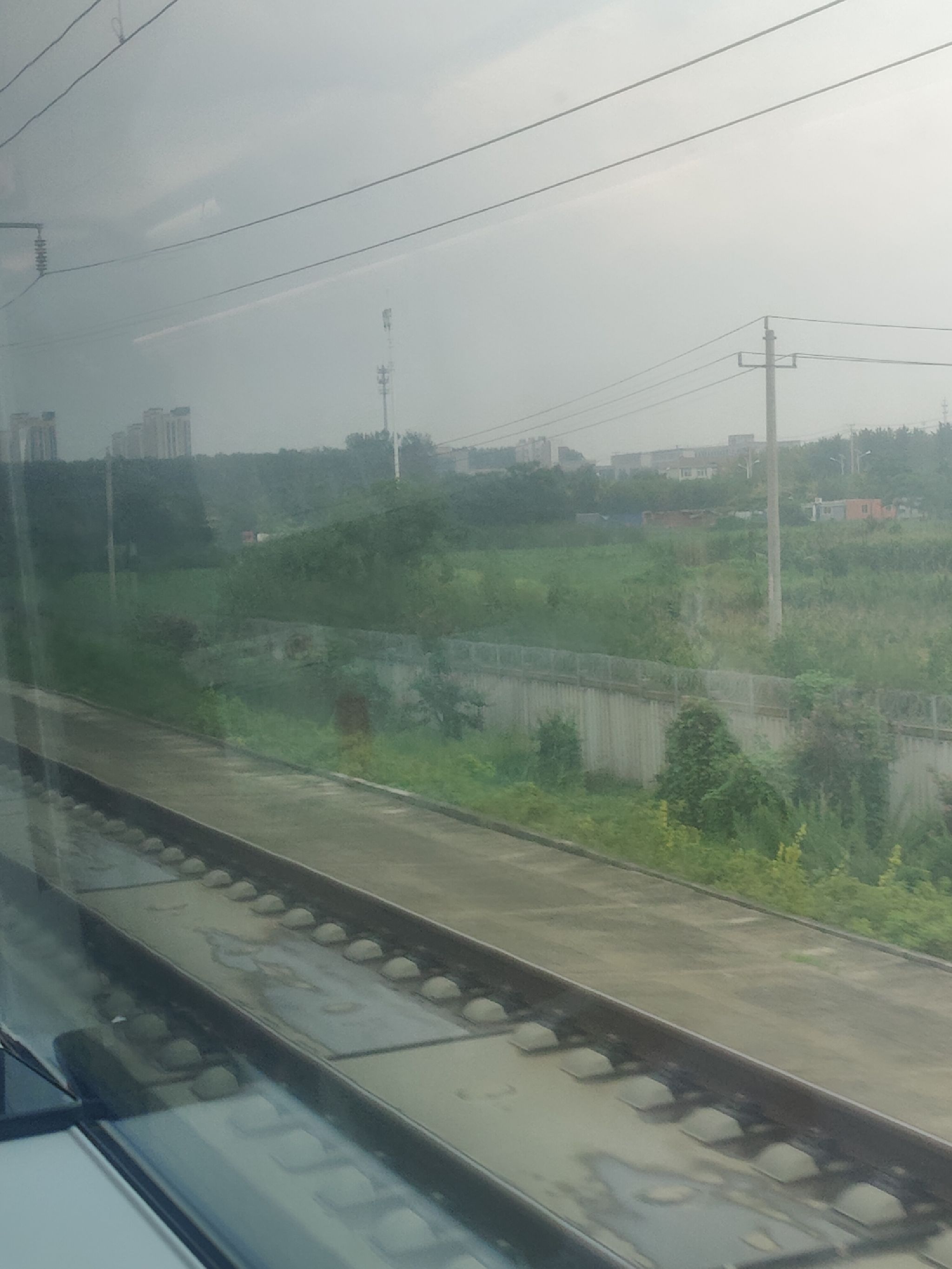 九凤园旅行图片 3