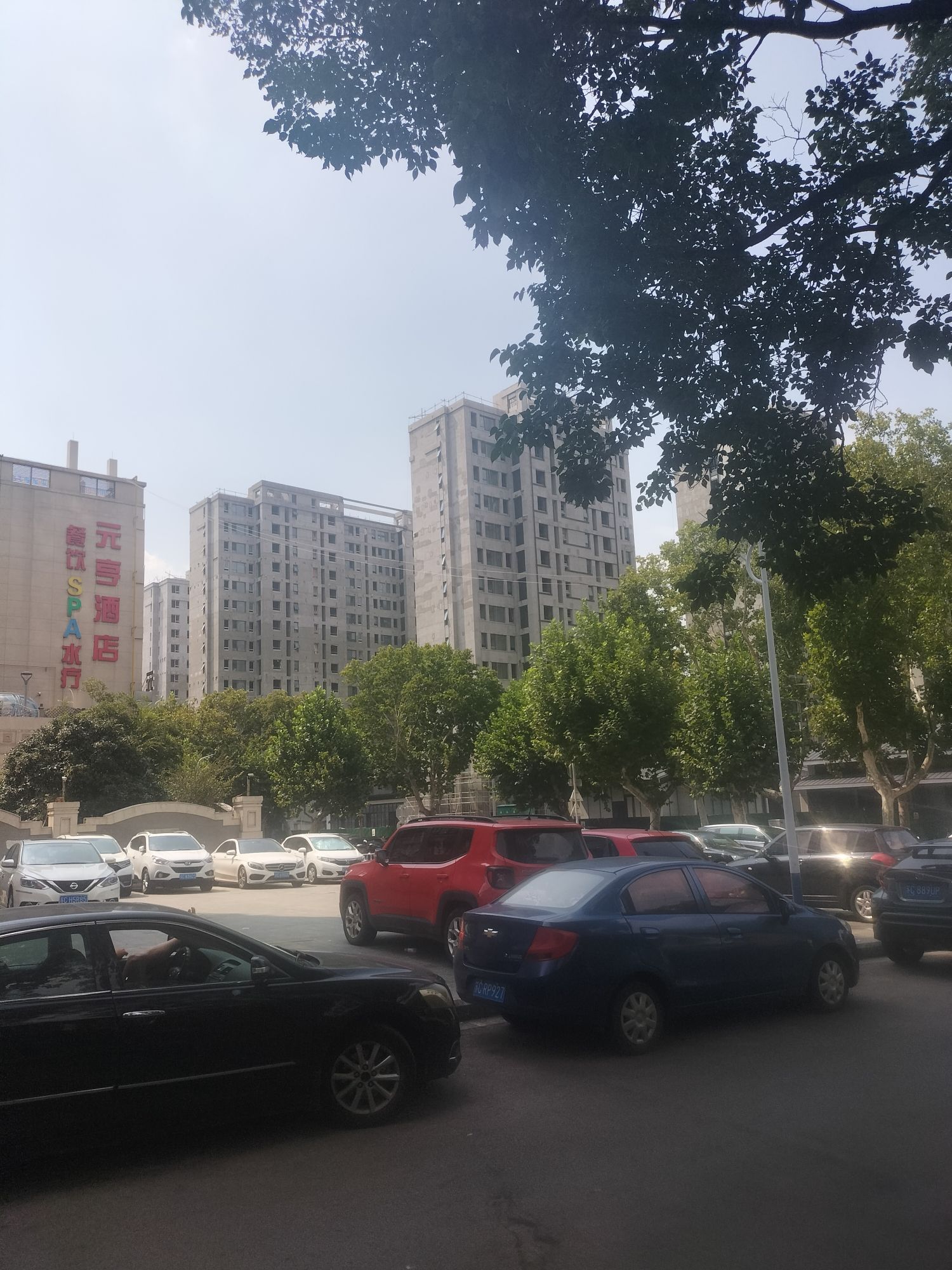 华厦生态公园旅行图片 1