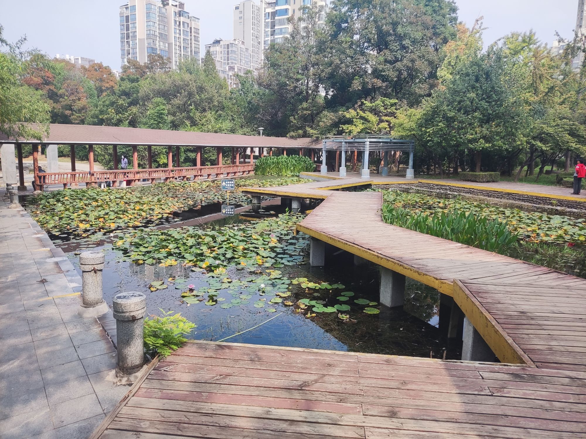 华厦生态公园旅行图片 3