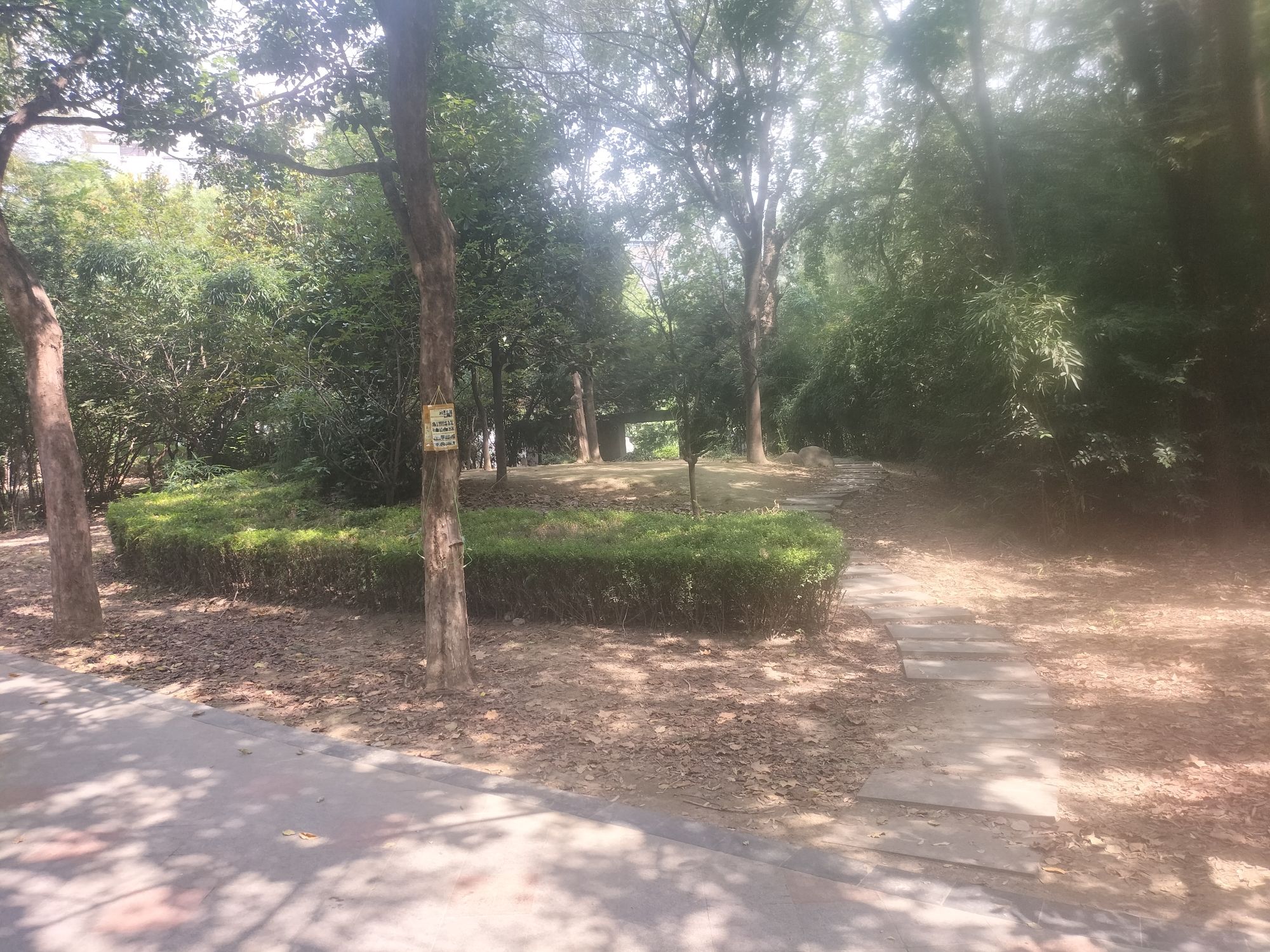 华厦生态公园旅行图片 2