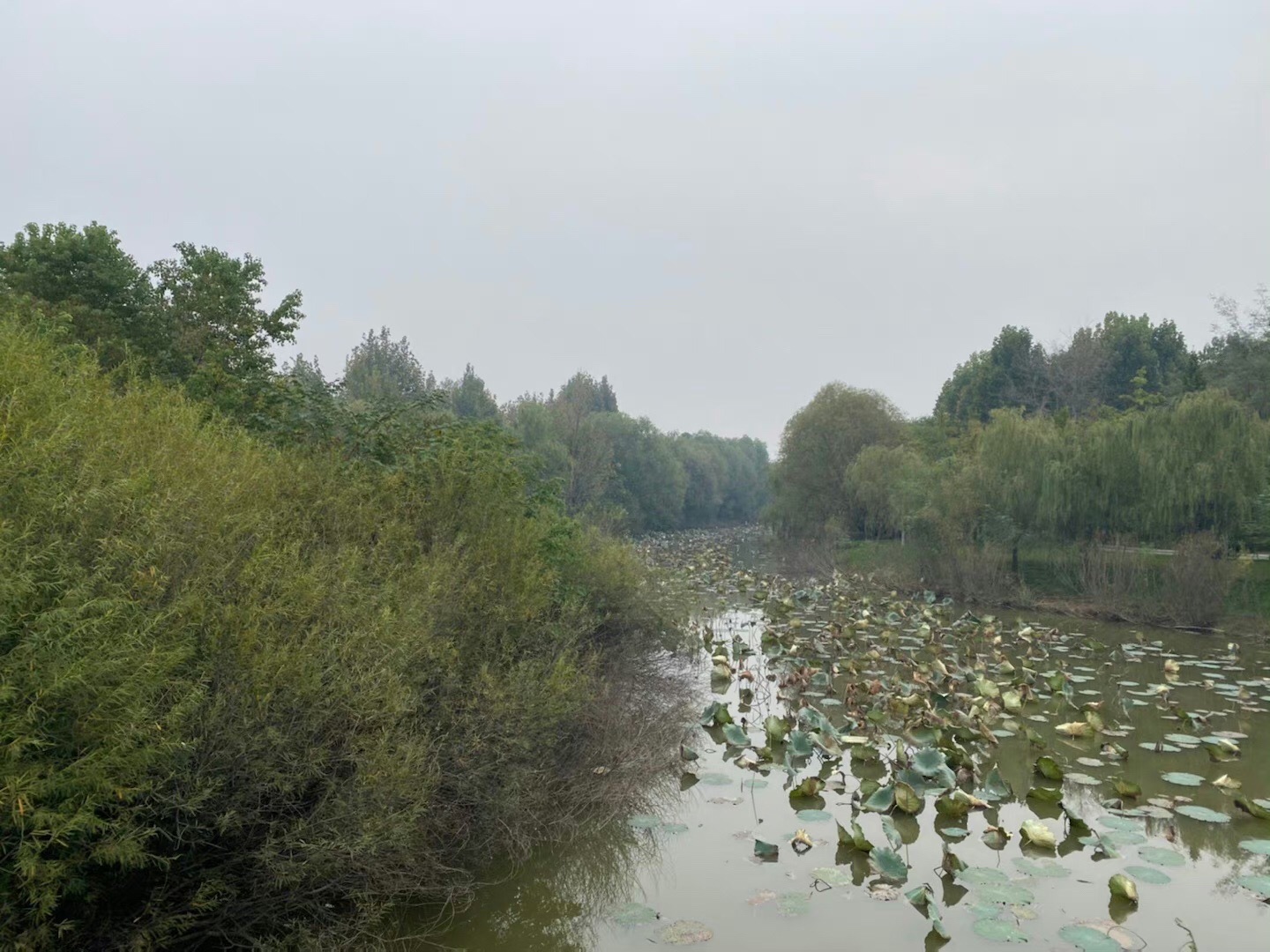 沛公园景区旅行图片 3