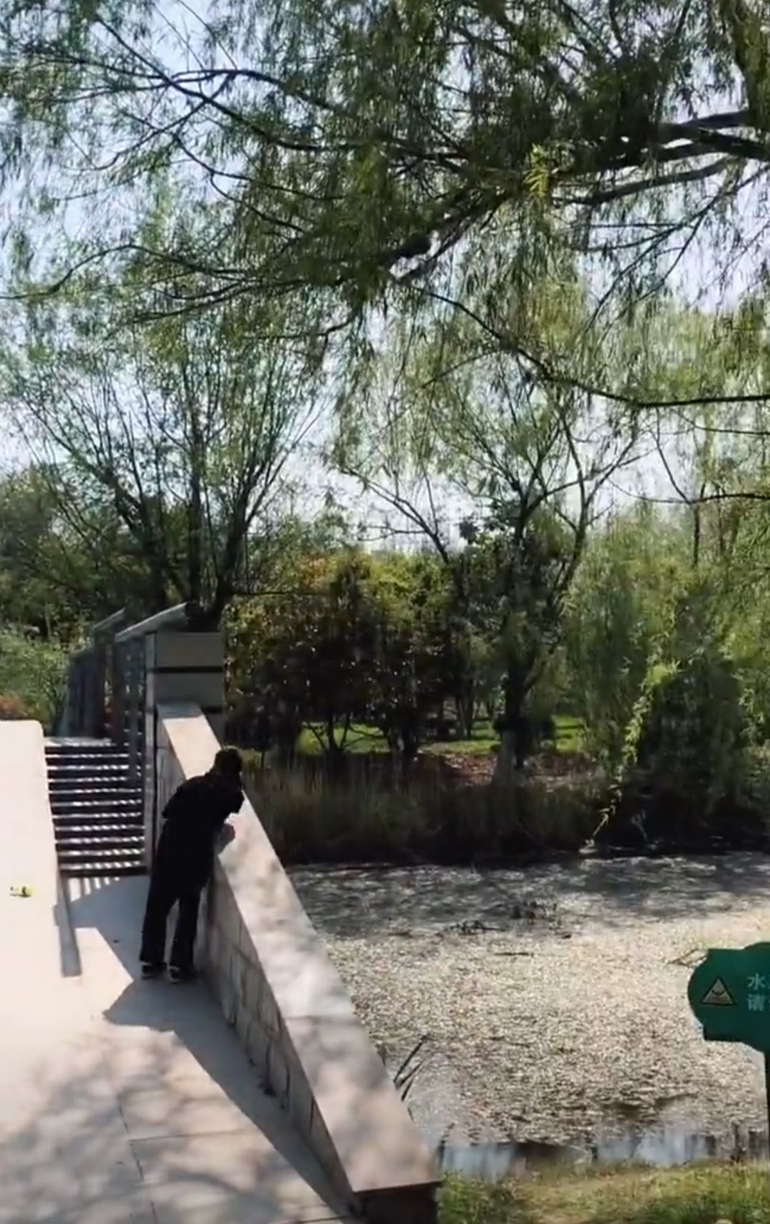 沛公园景区旅行图片 3