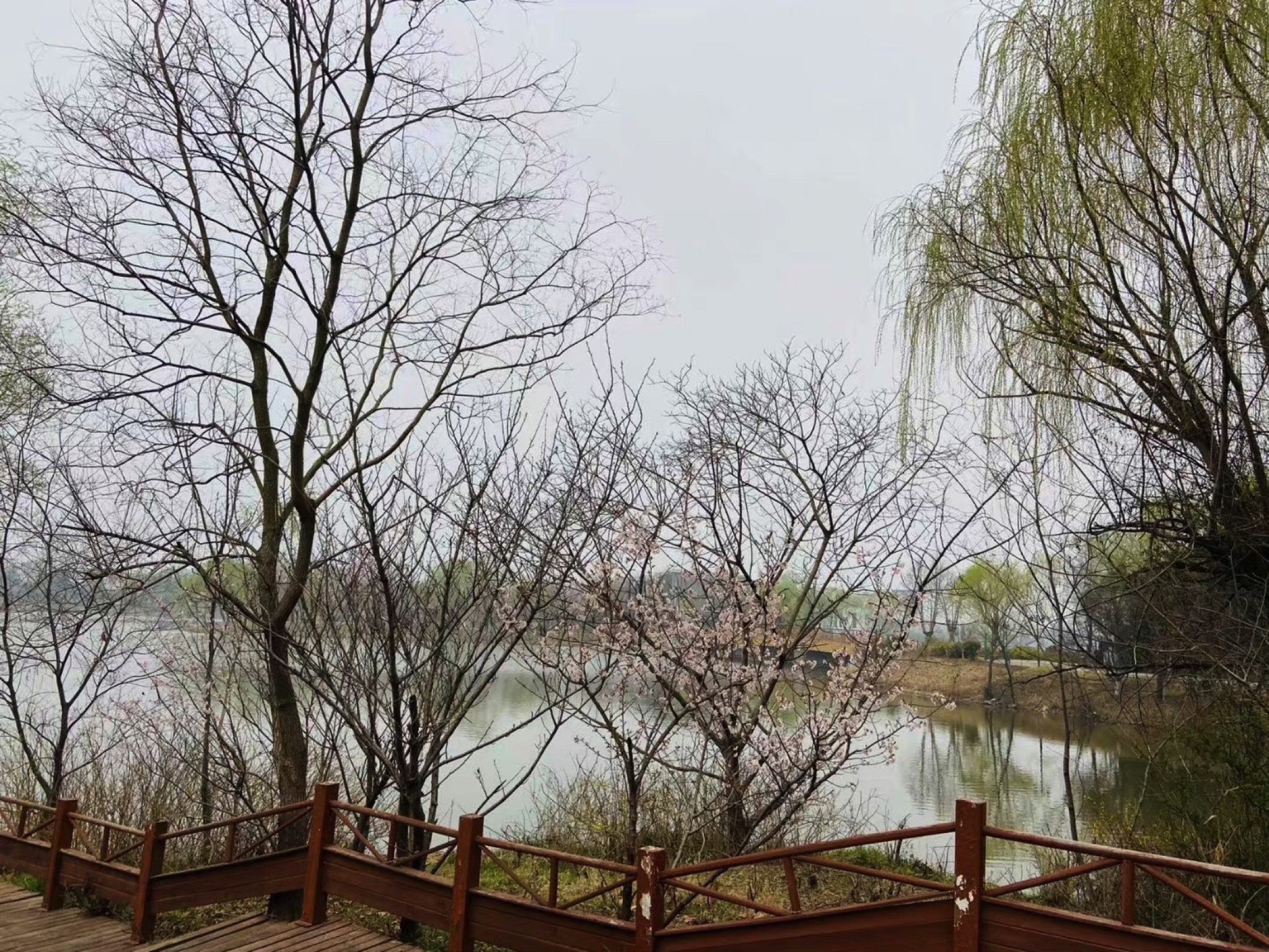 沛公园景区旅行图片 1