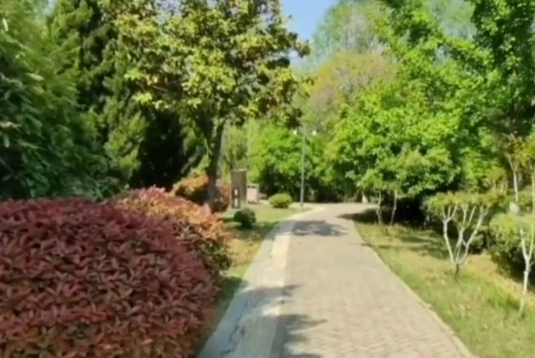 沛公园景区旅行图片 2