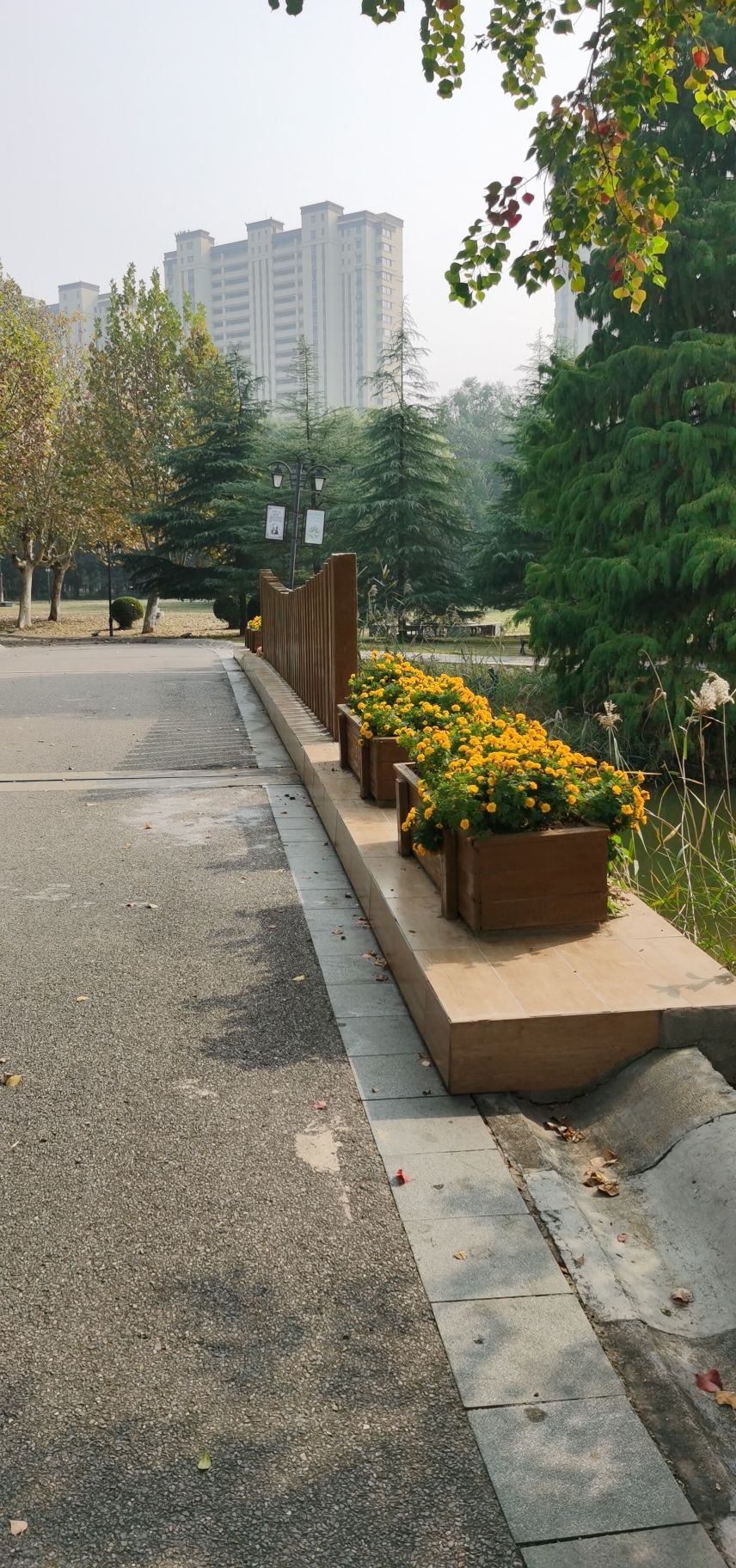 沛公园景区旅行图片 3