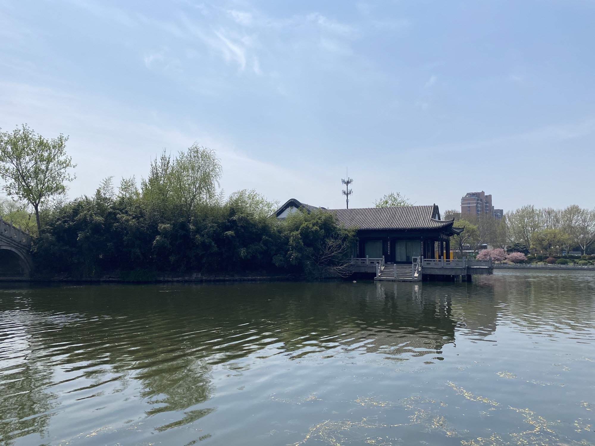 显红岛公园旅行图片 2