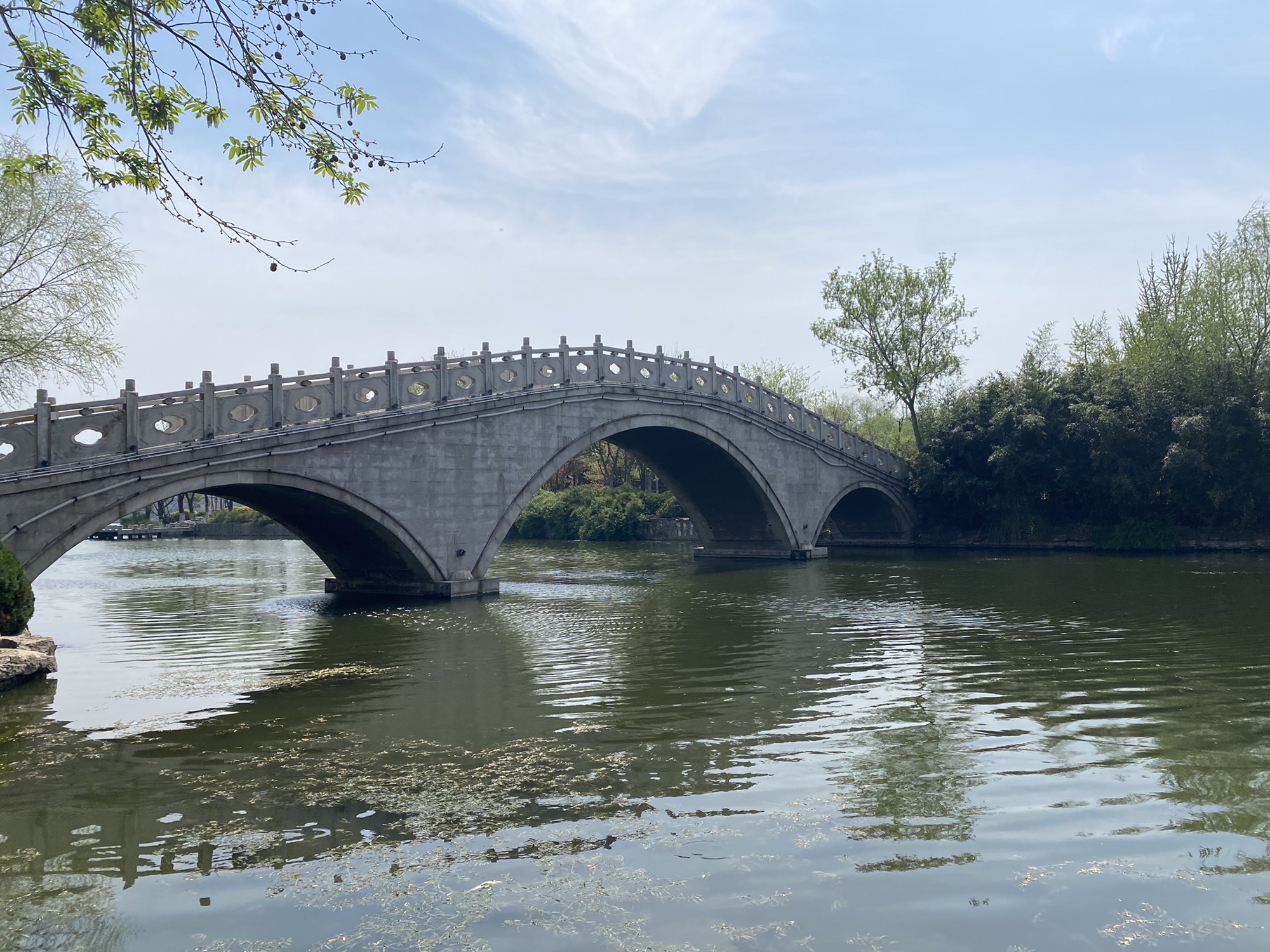 显红岛公园旅行图片 1