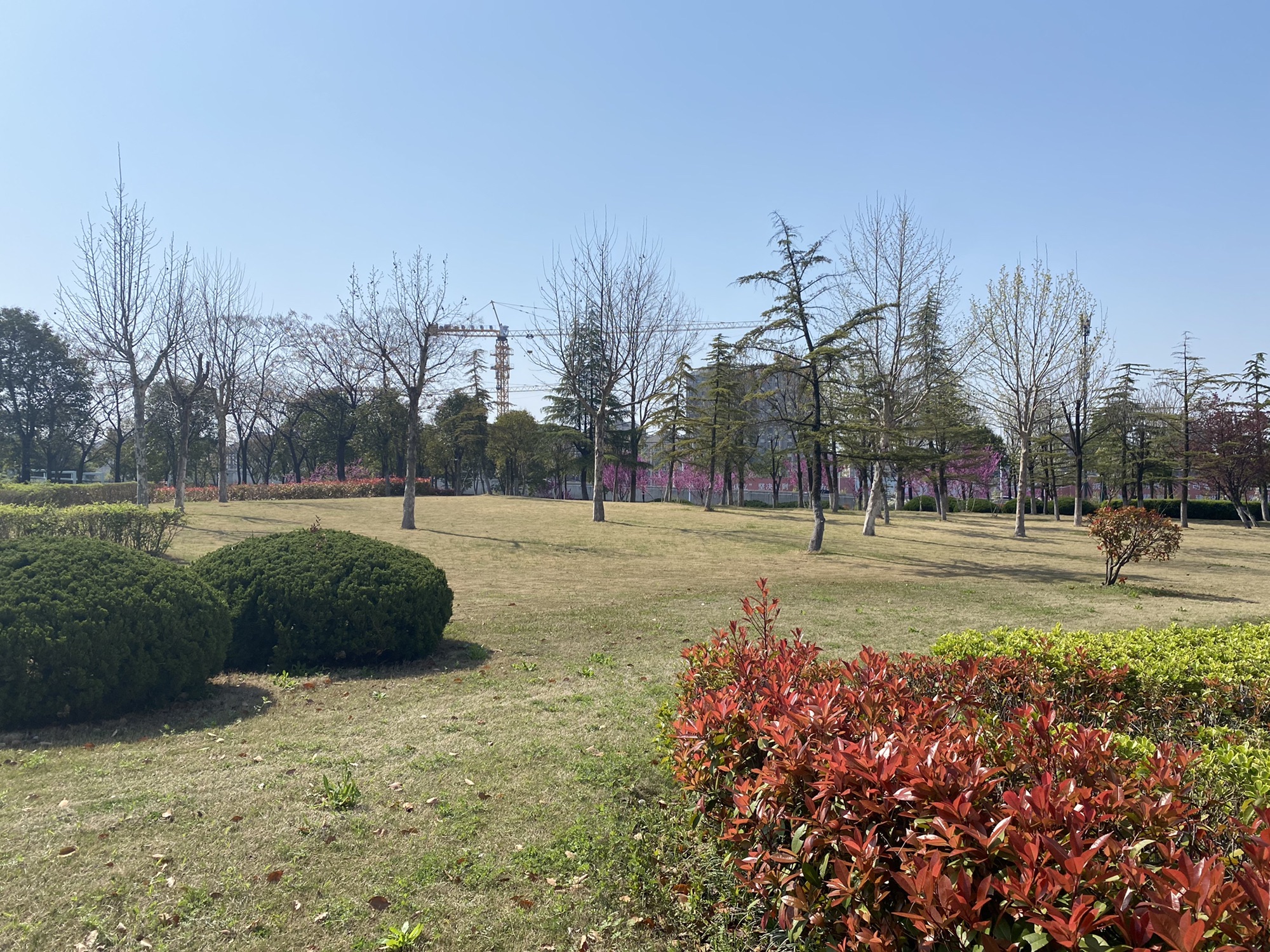 徐州市百果园景观绿地旅行图片 1