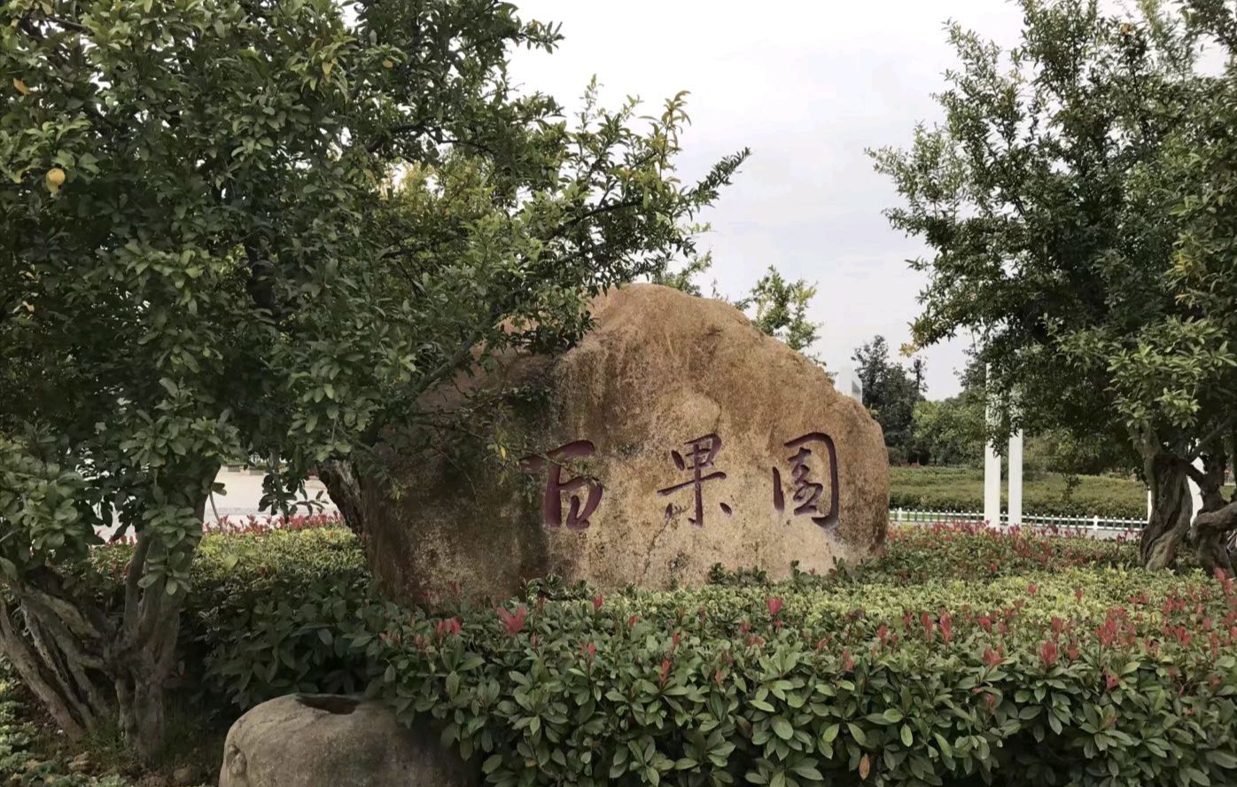 徐州市百果园景观绿地旅行图片 1