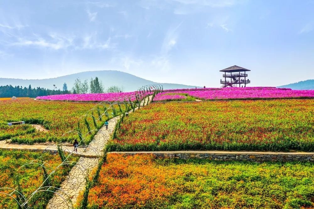 岠山景区