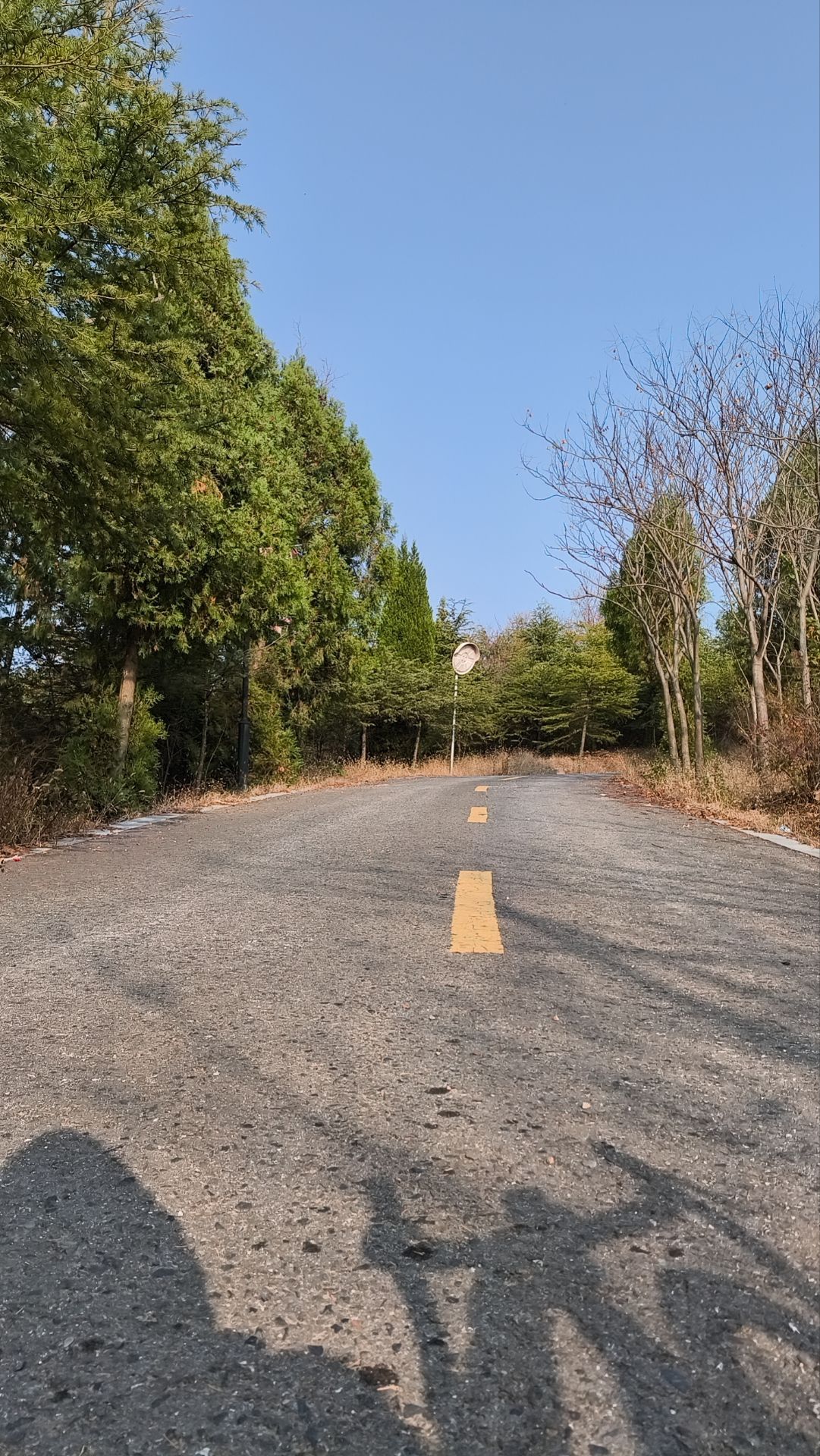 岠山景区旅行图片 3