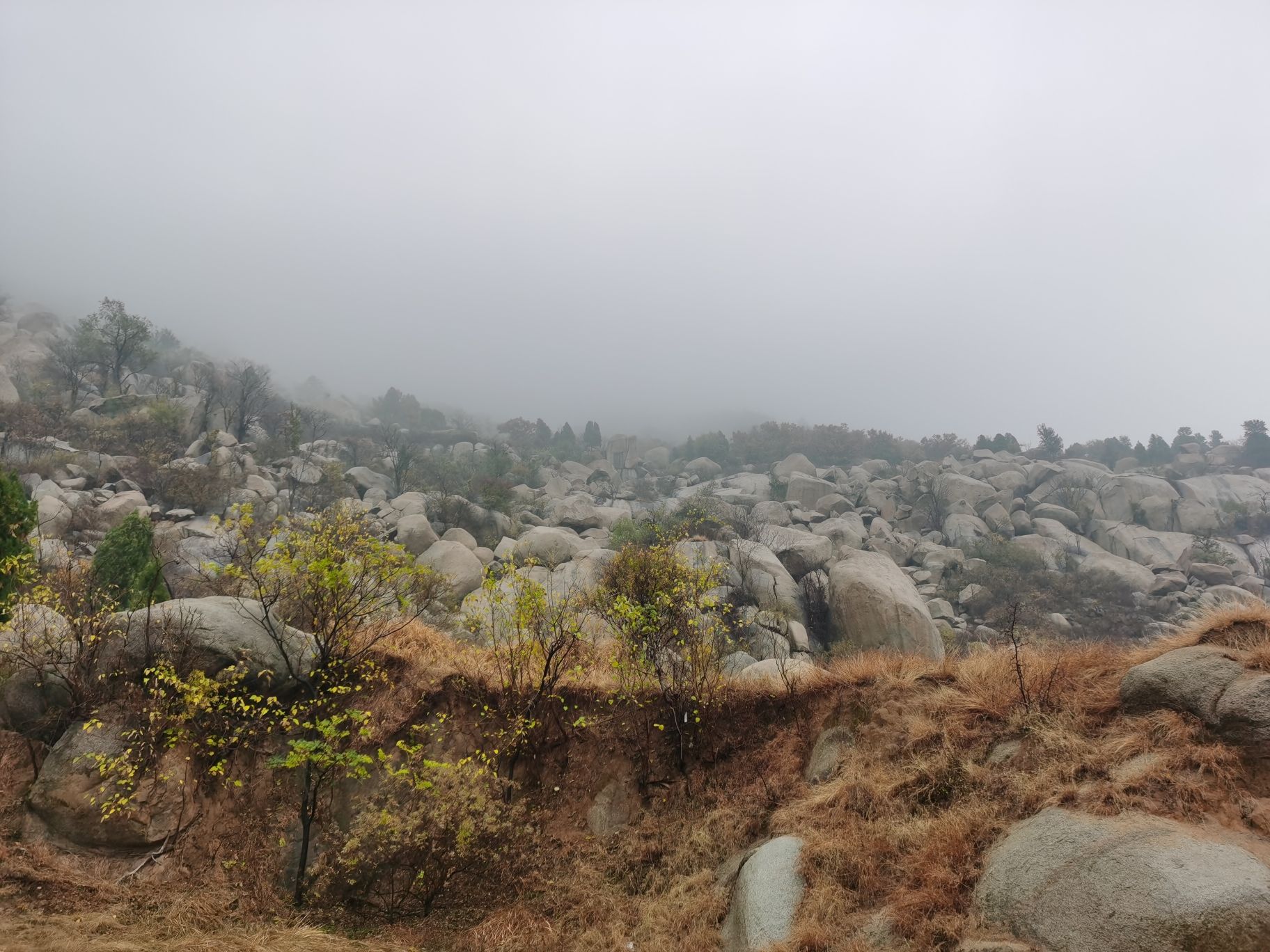 岠山景区旅行图片 1