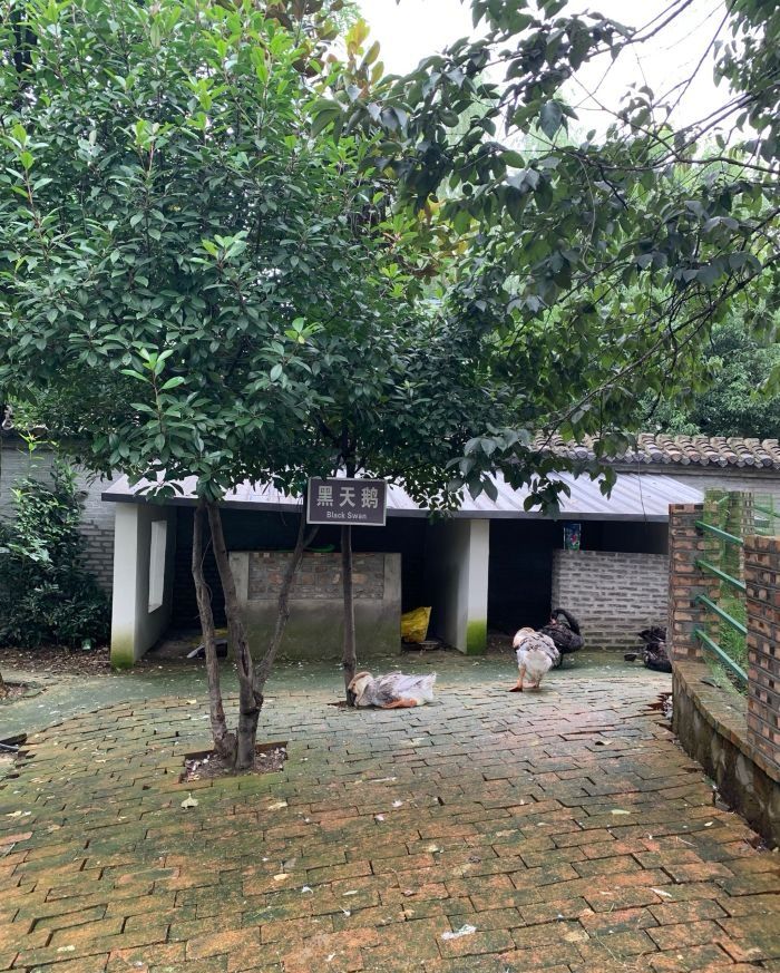 卧龙泉抗战景区旅行图片 2