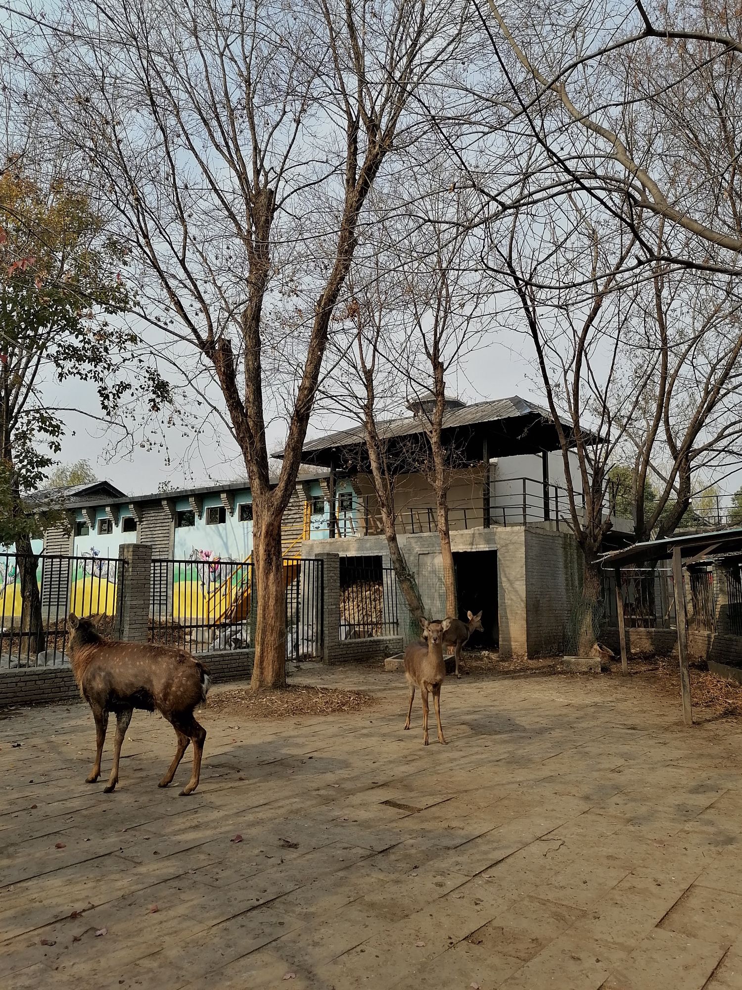 卧龙泉抗战景区旅行图片 3