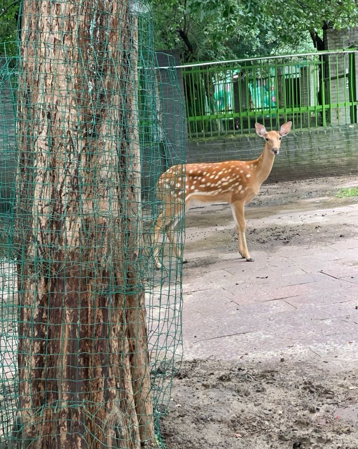 卧龙泉抗战景区旅行图片 1