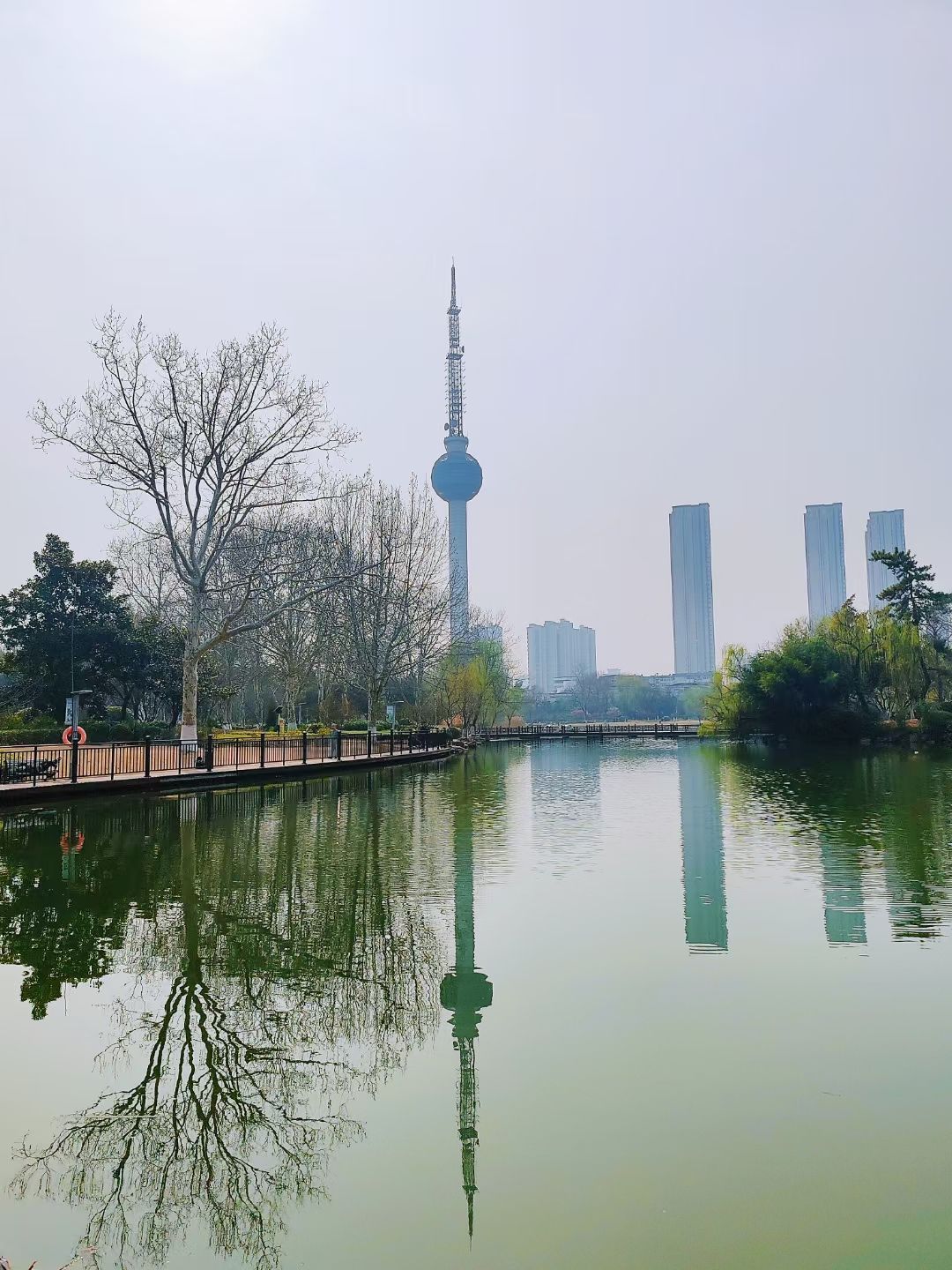 云龙公园旅行图片 1