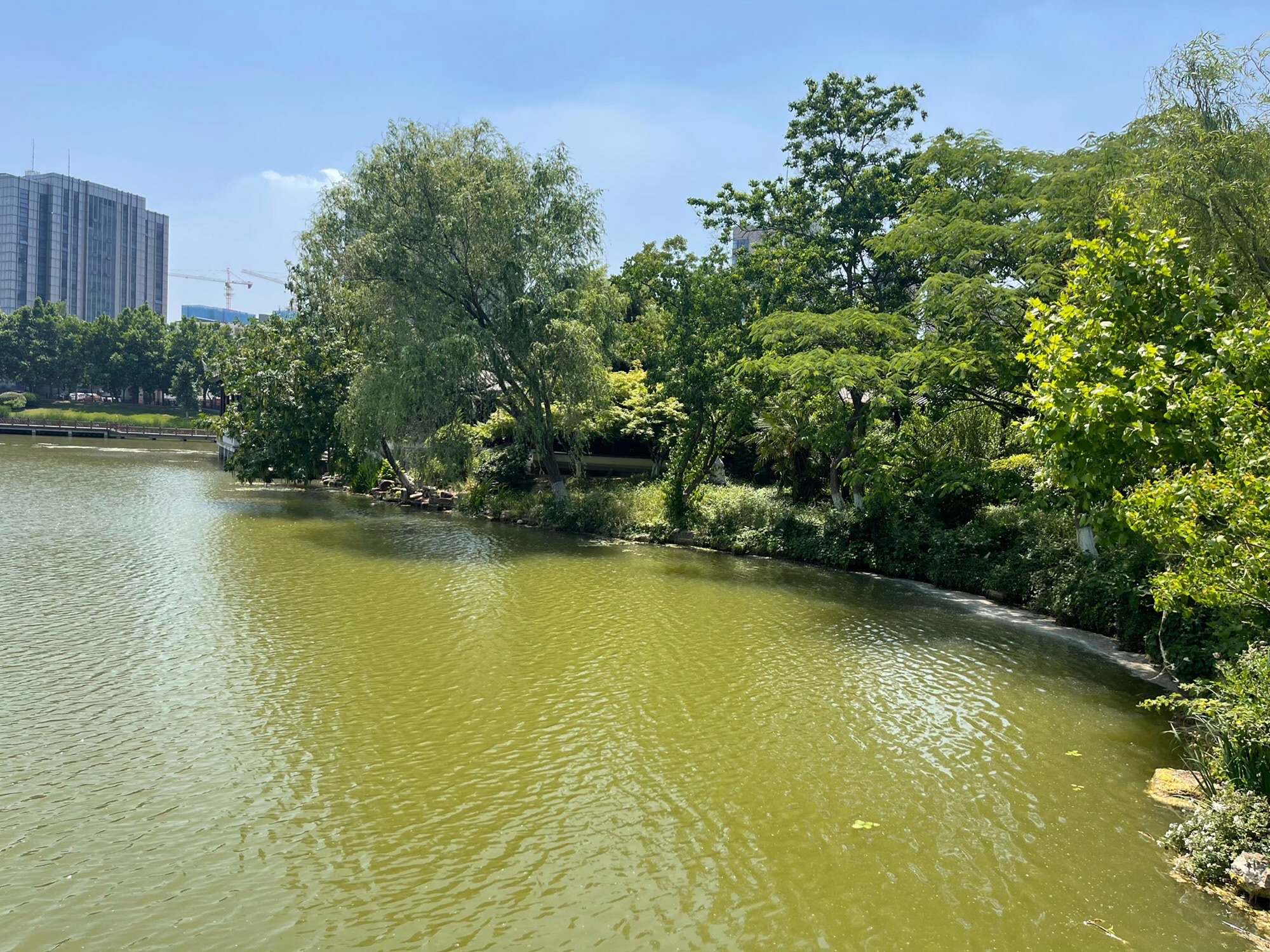 云龙公园旅行图片 2