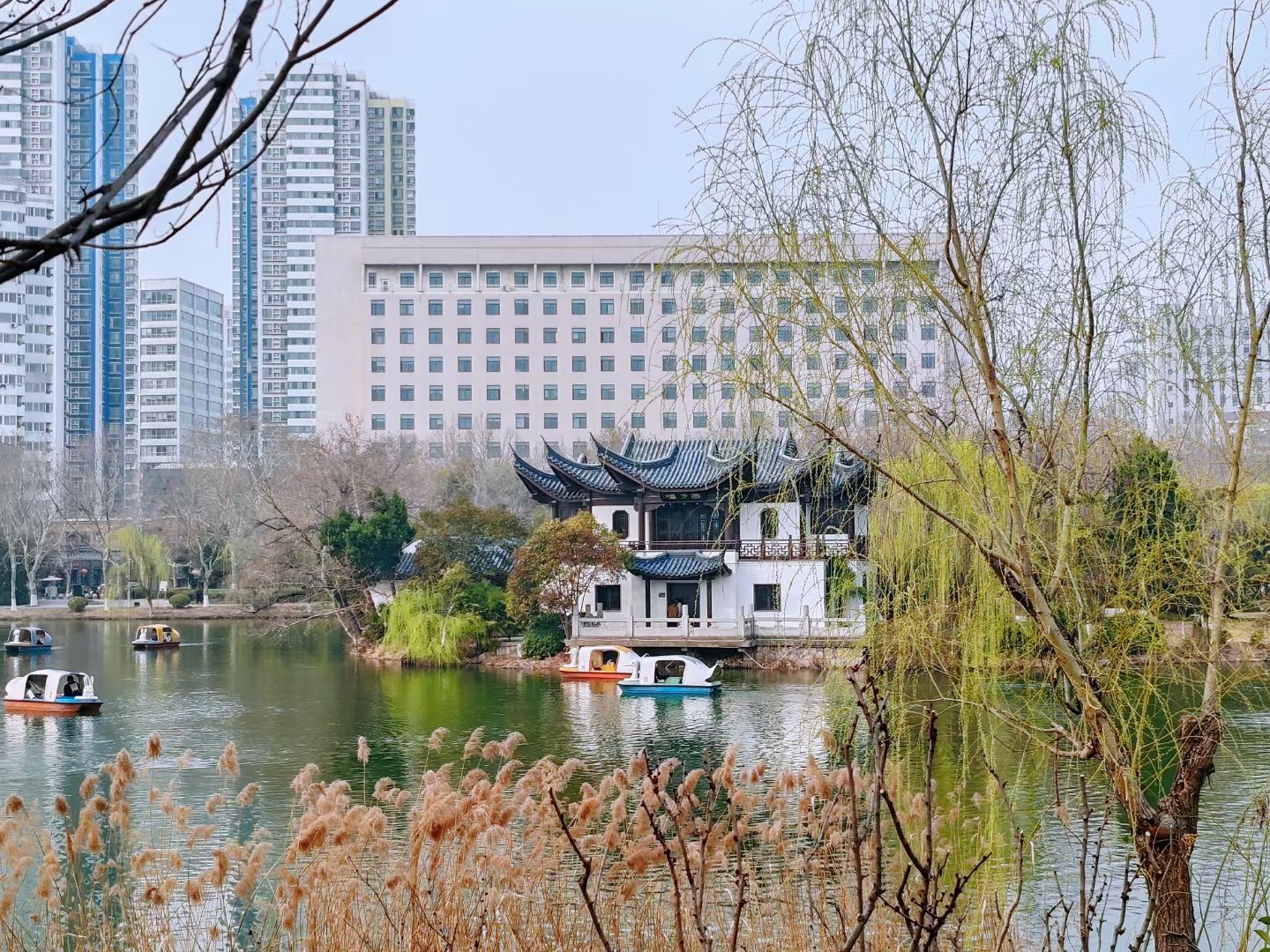 云龙公园旅行图片 2