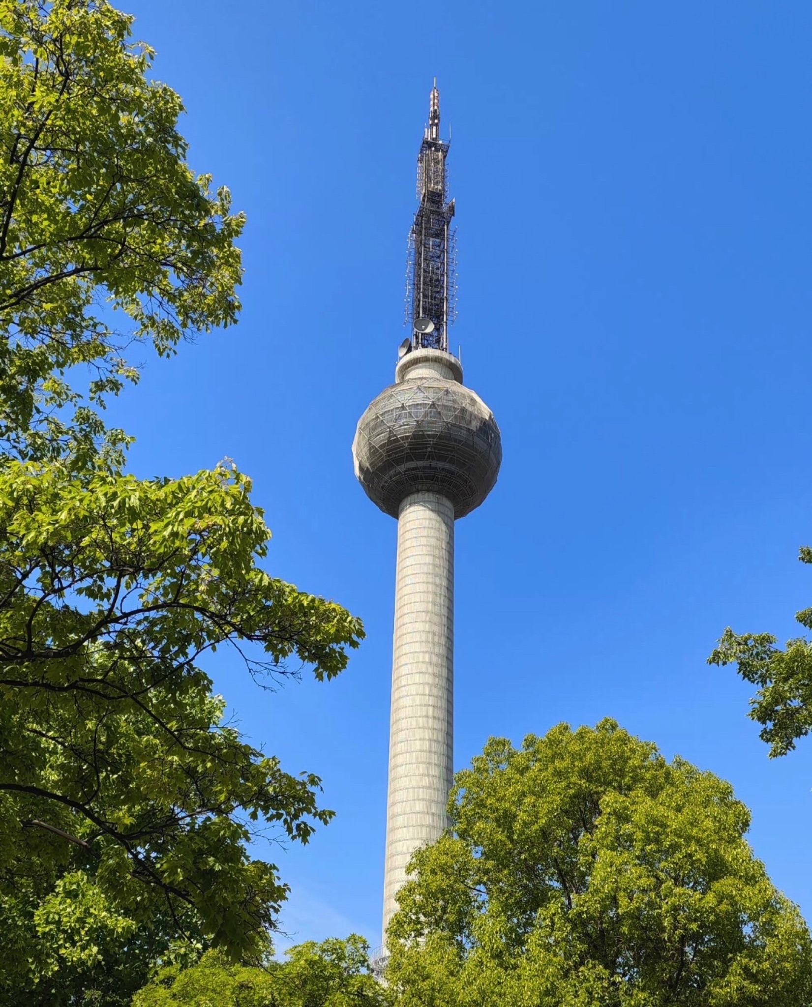 云龙公园旅行图片 1