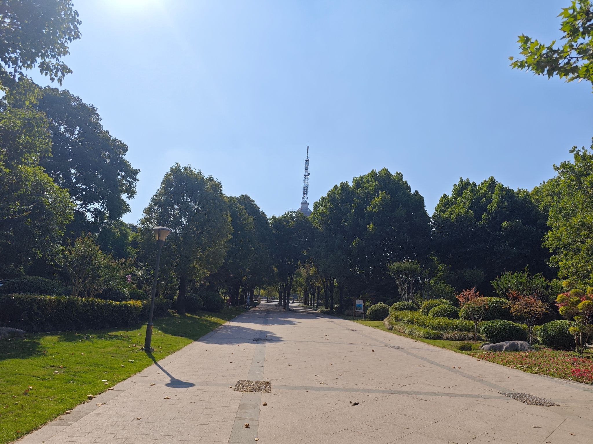 云龙公园旅行图片 3