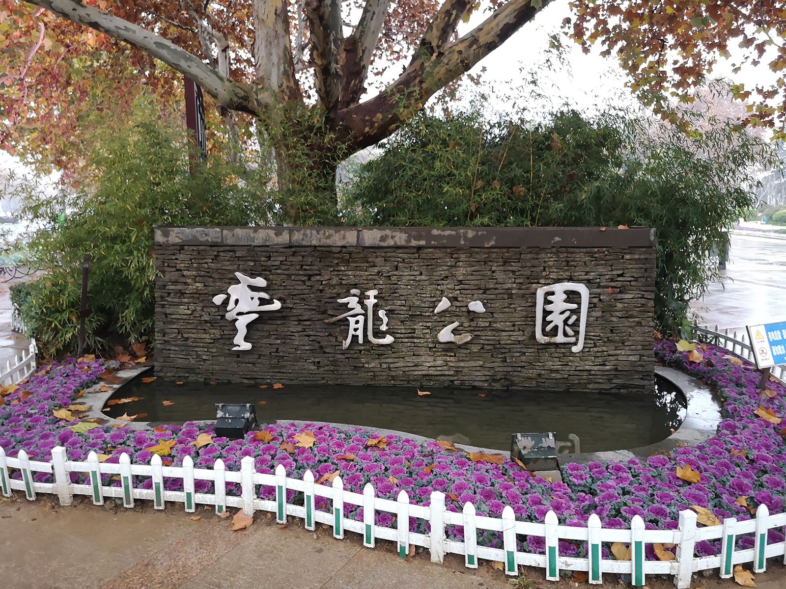 云龙公园