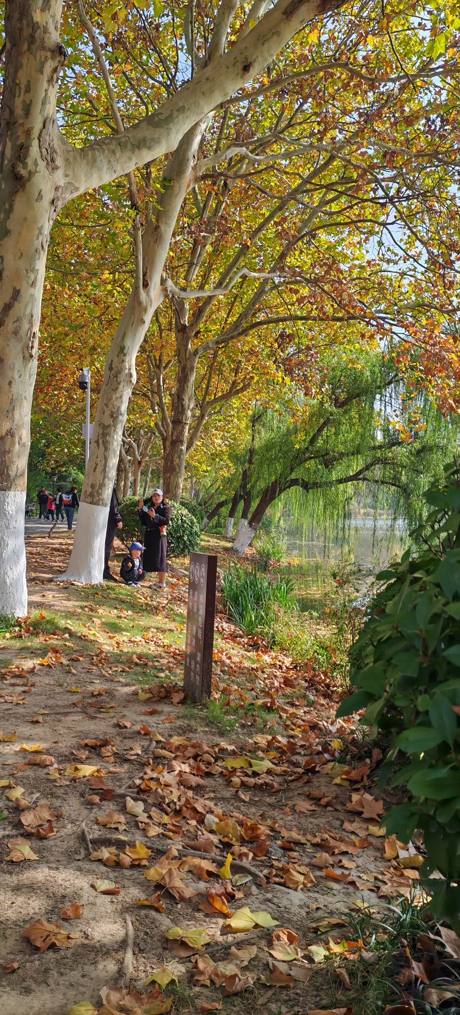 云龙公园旅行图片 3