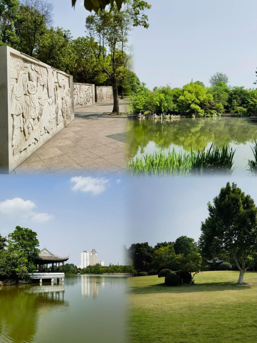 云龙公园旅行图片 2