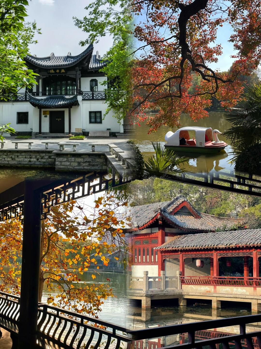 云龙公园旅行图片 3