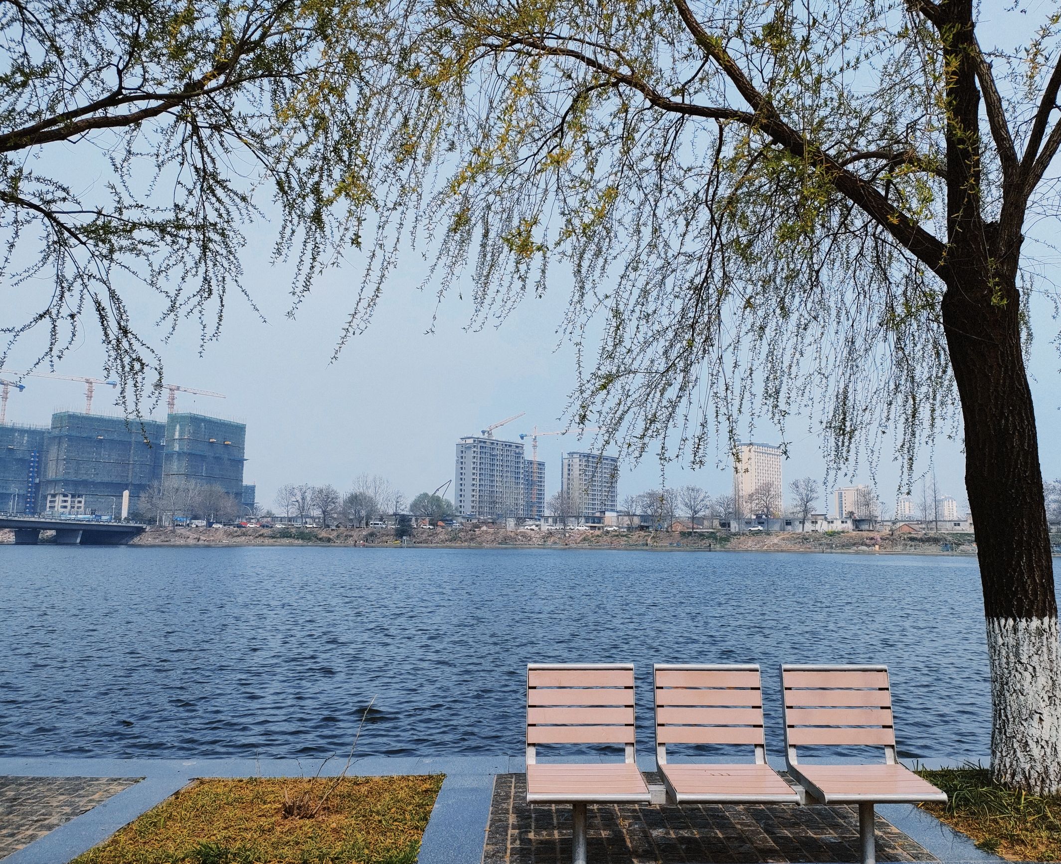 沭河之光旅行图片 3