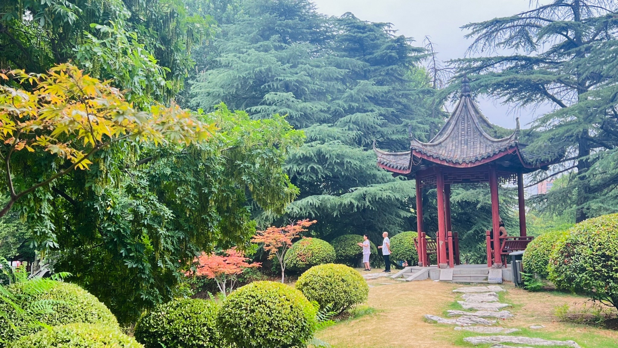 夏桥公园旅行图片 1