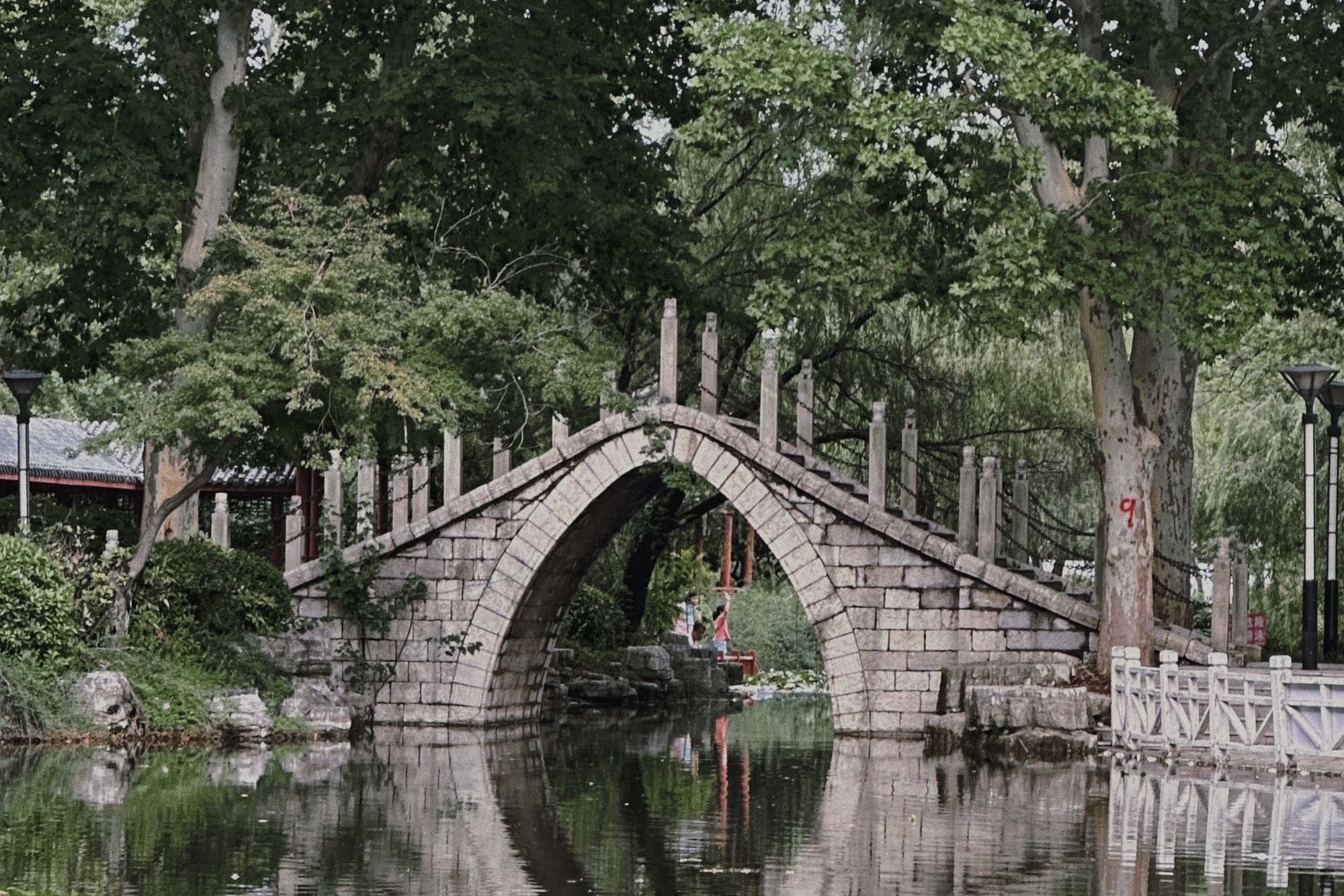 夏桥公园旅行图片 2