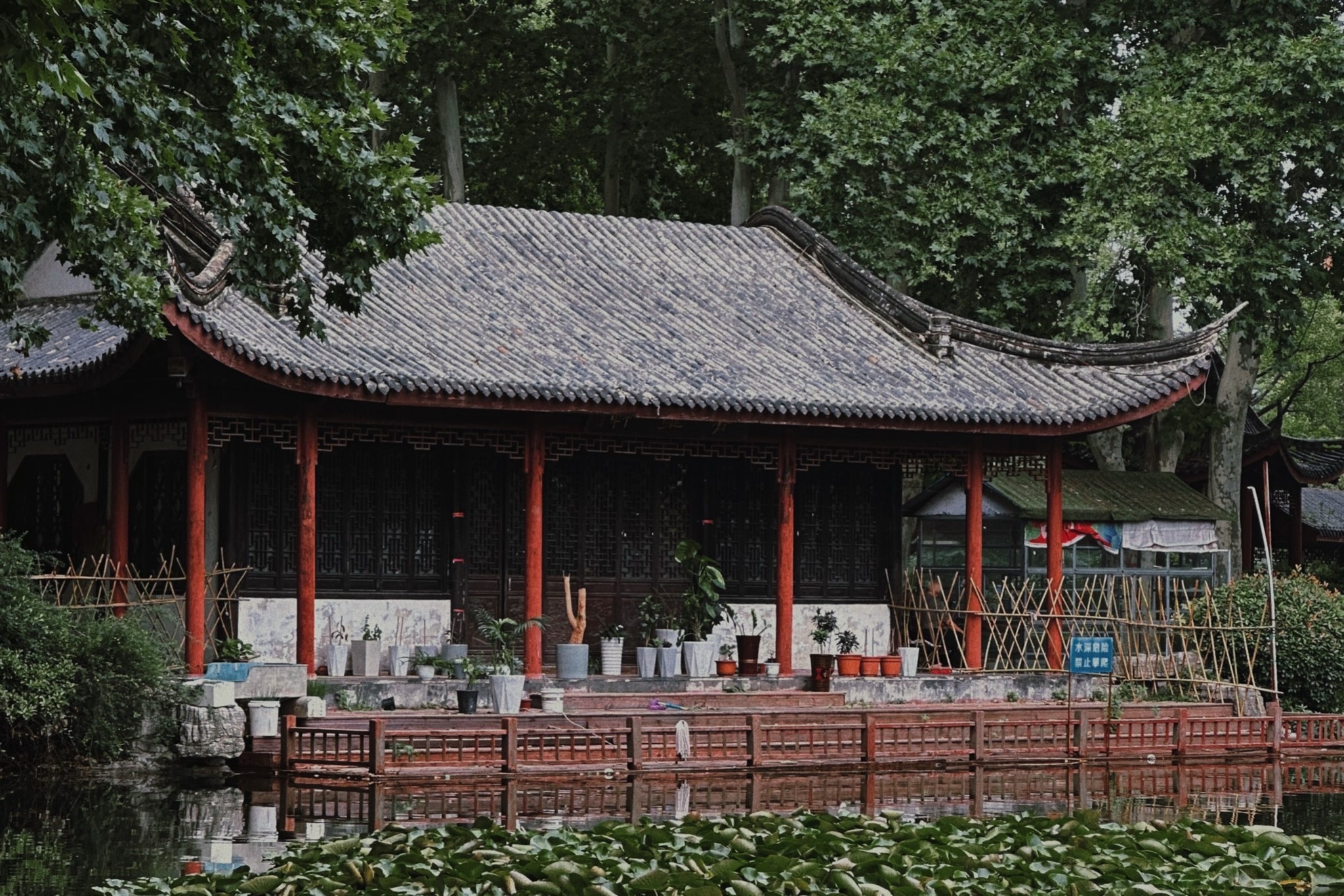 夏桥公园旅行图片 1