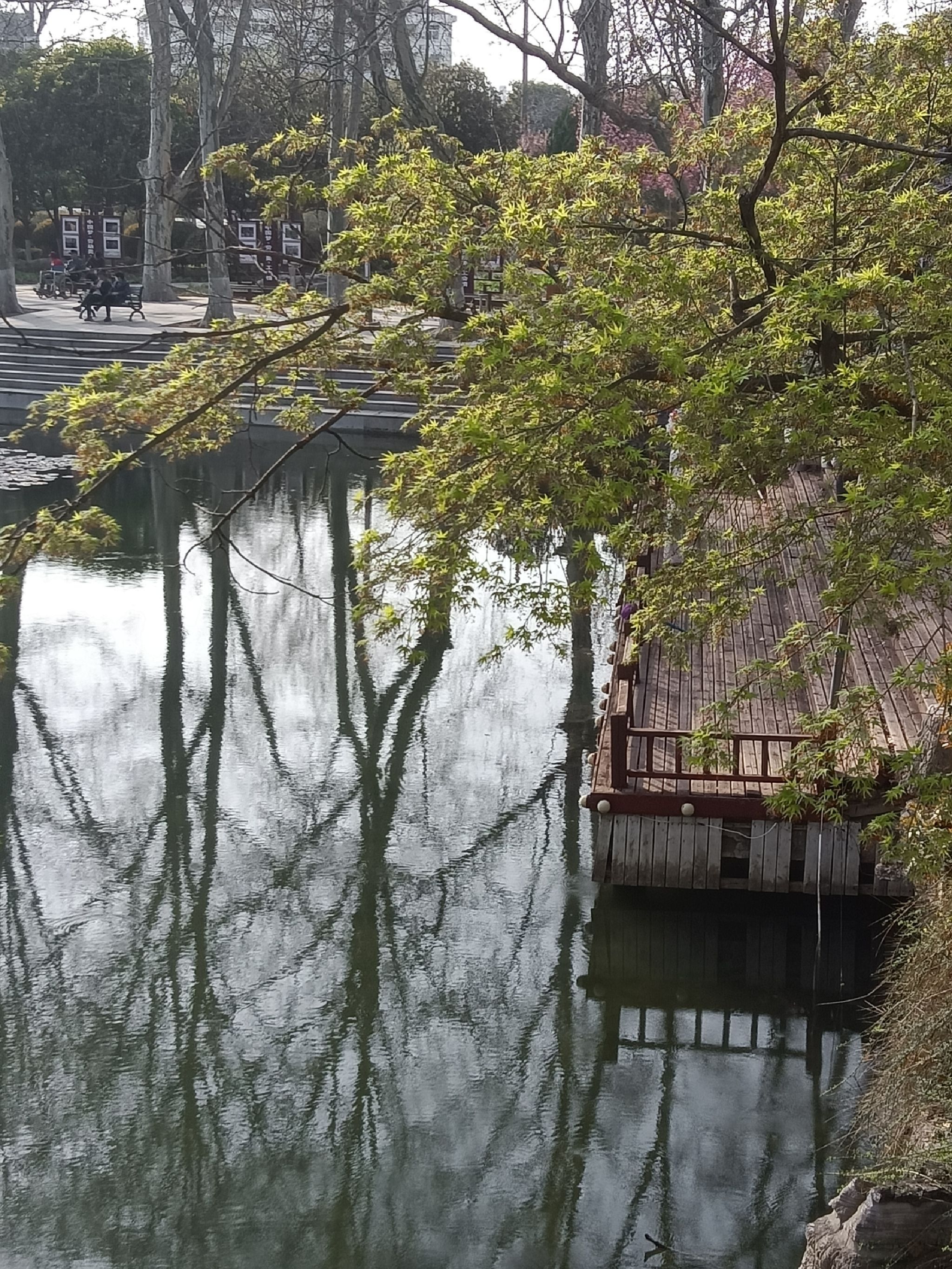 夏桥公园旅行图片 1