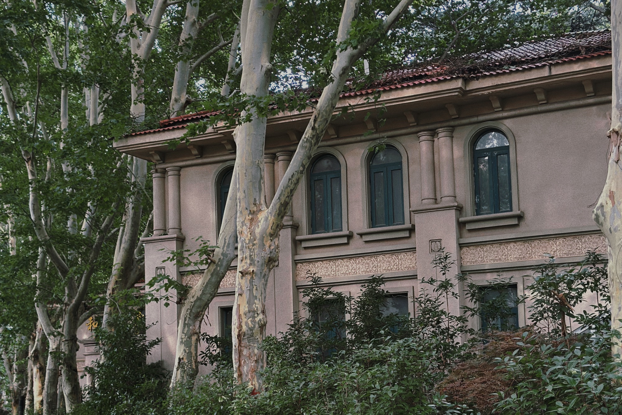 夏桥公园旅行图片 3