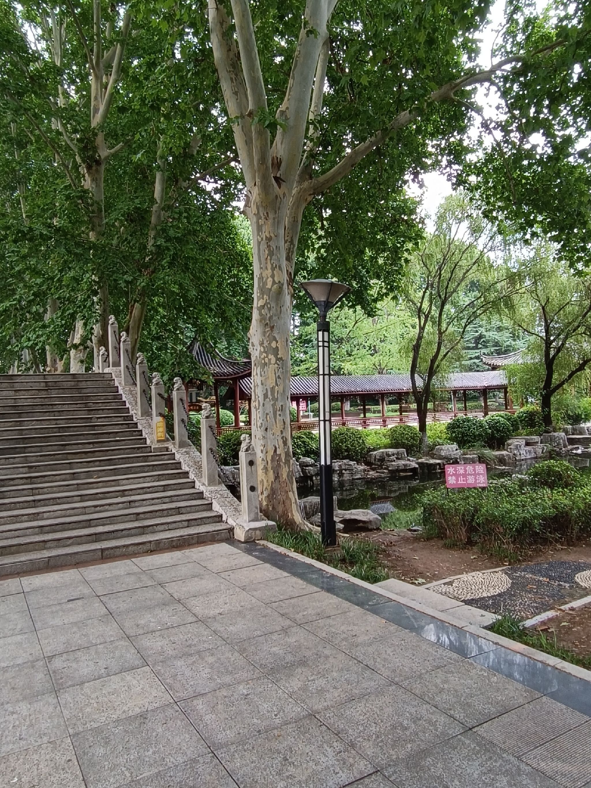 夏桥公园旅行图片 3