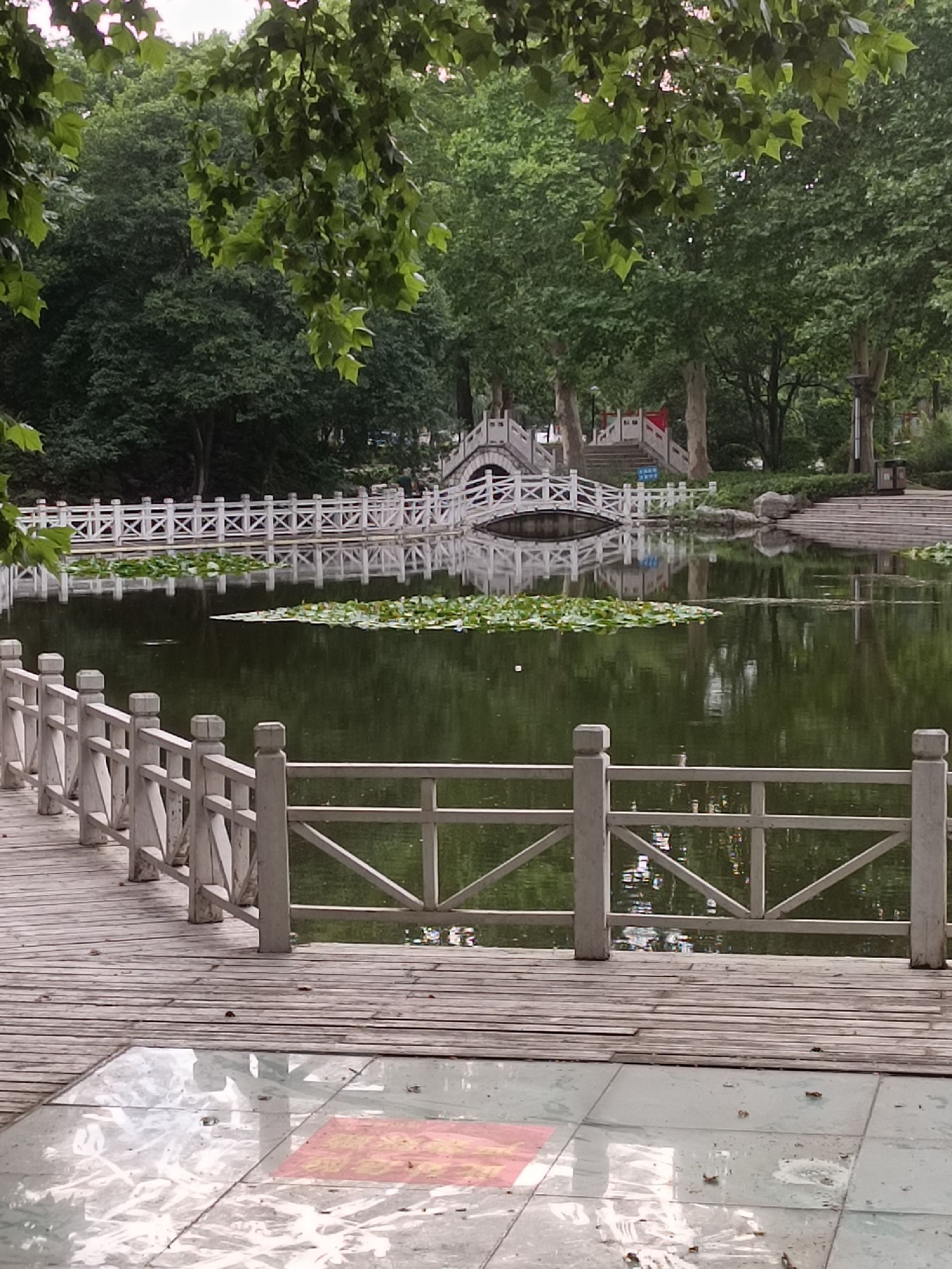 夏桥公园旅行图片 2