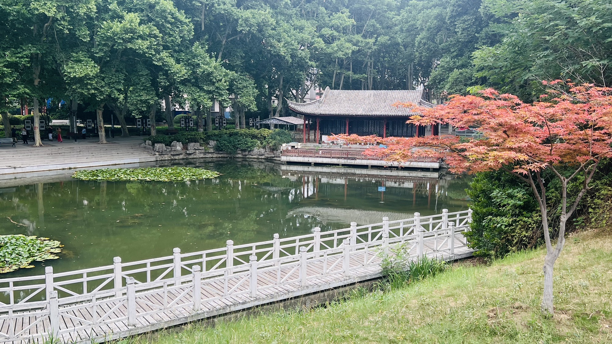 夏桥公园旅行图片 2