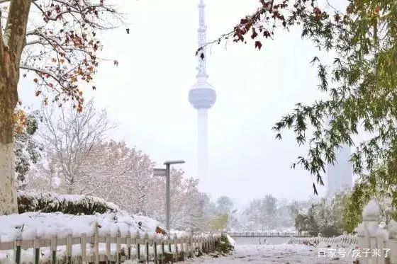 徐州电视塔旅行图片 1